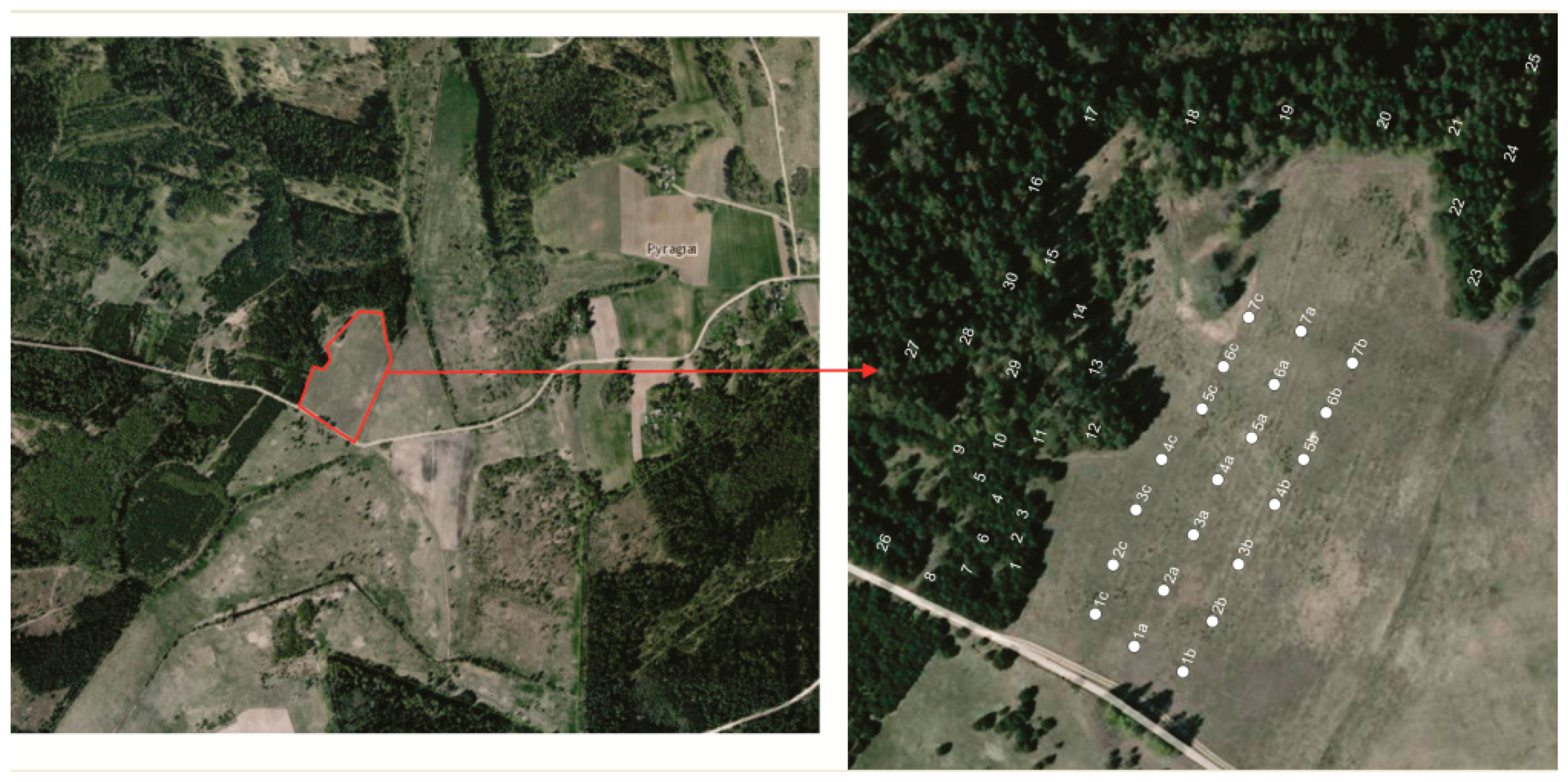 Forests 08 00470 g001