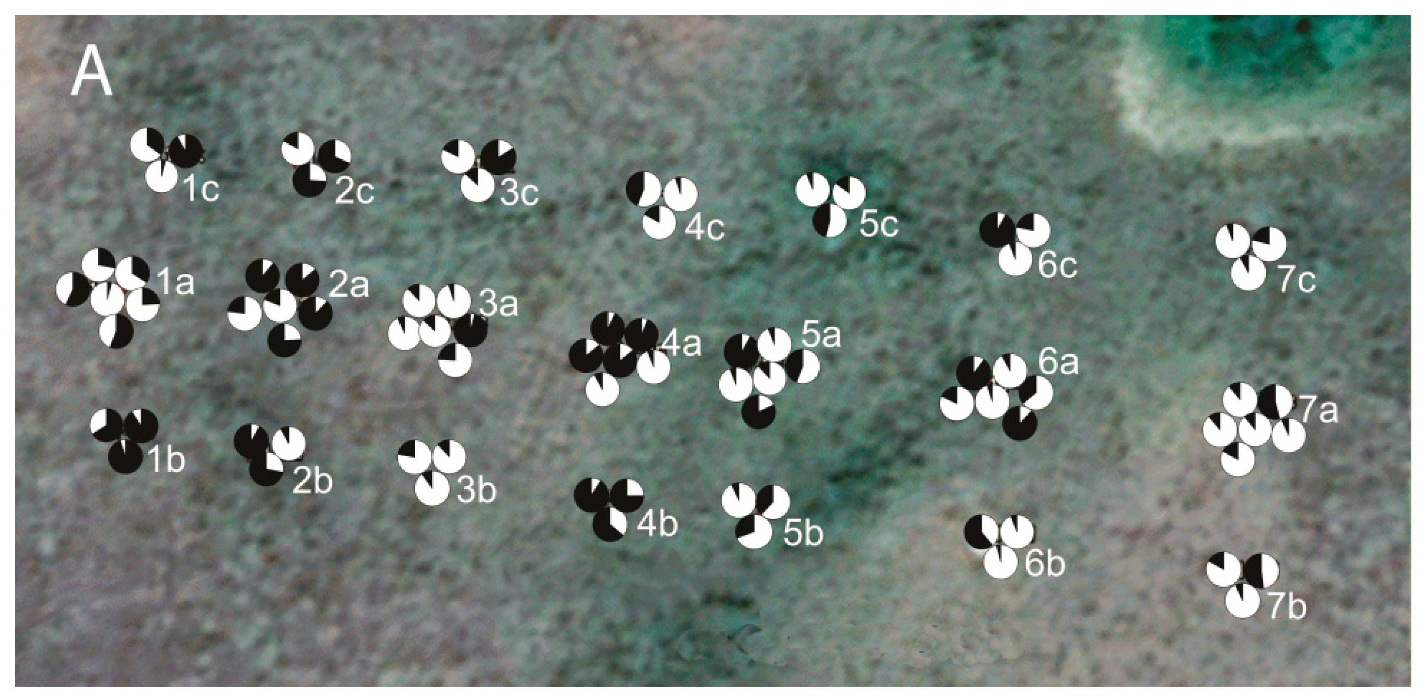 Forests 08 00470 g007a