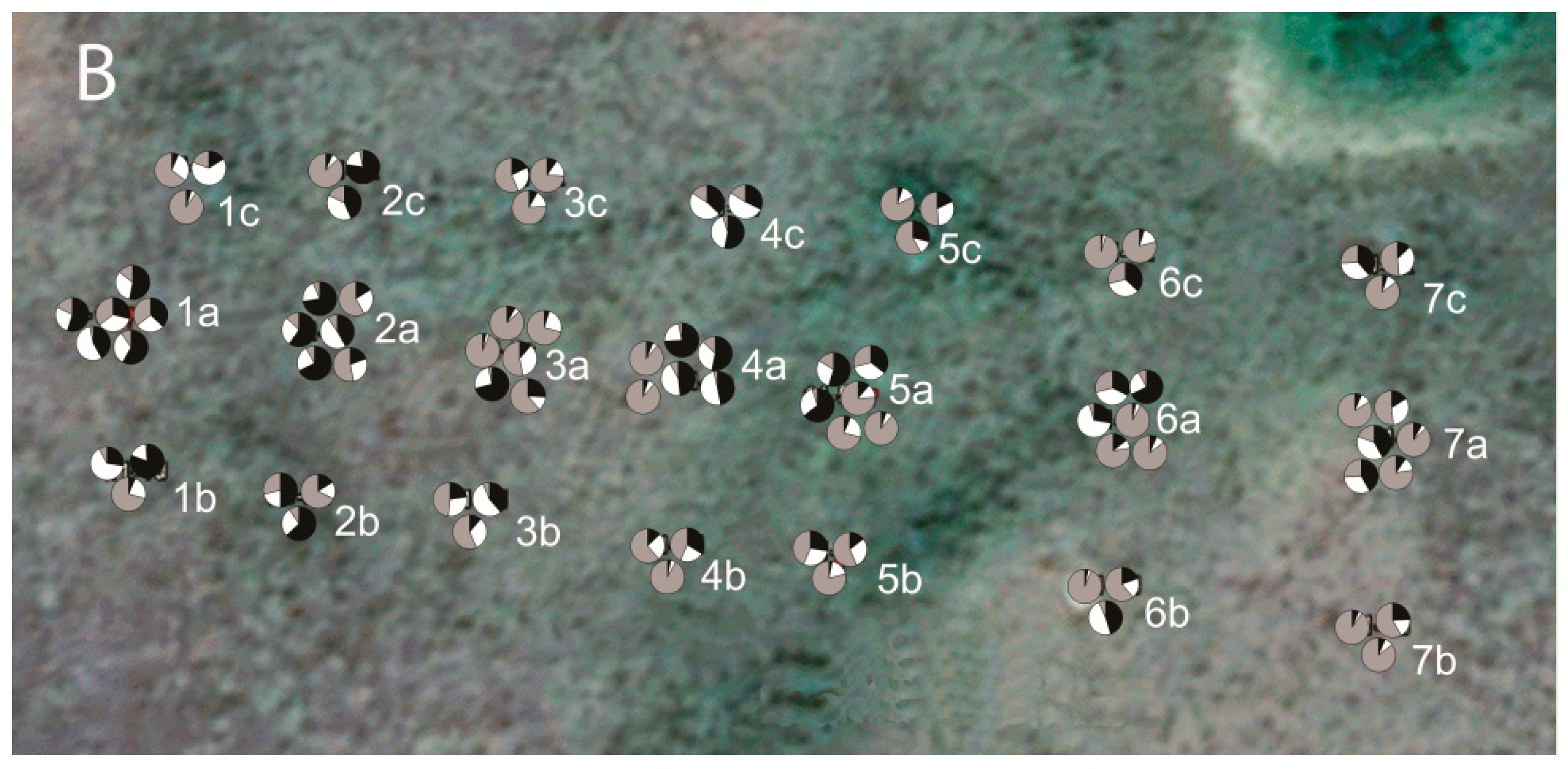 Forests 08 00470 g007b