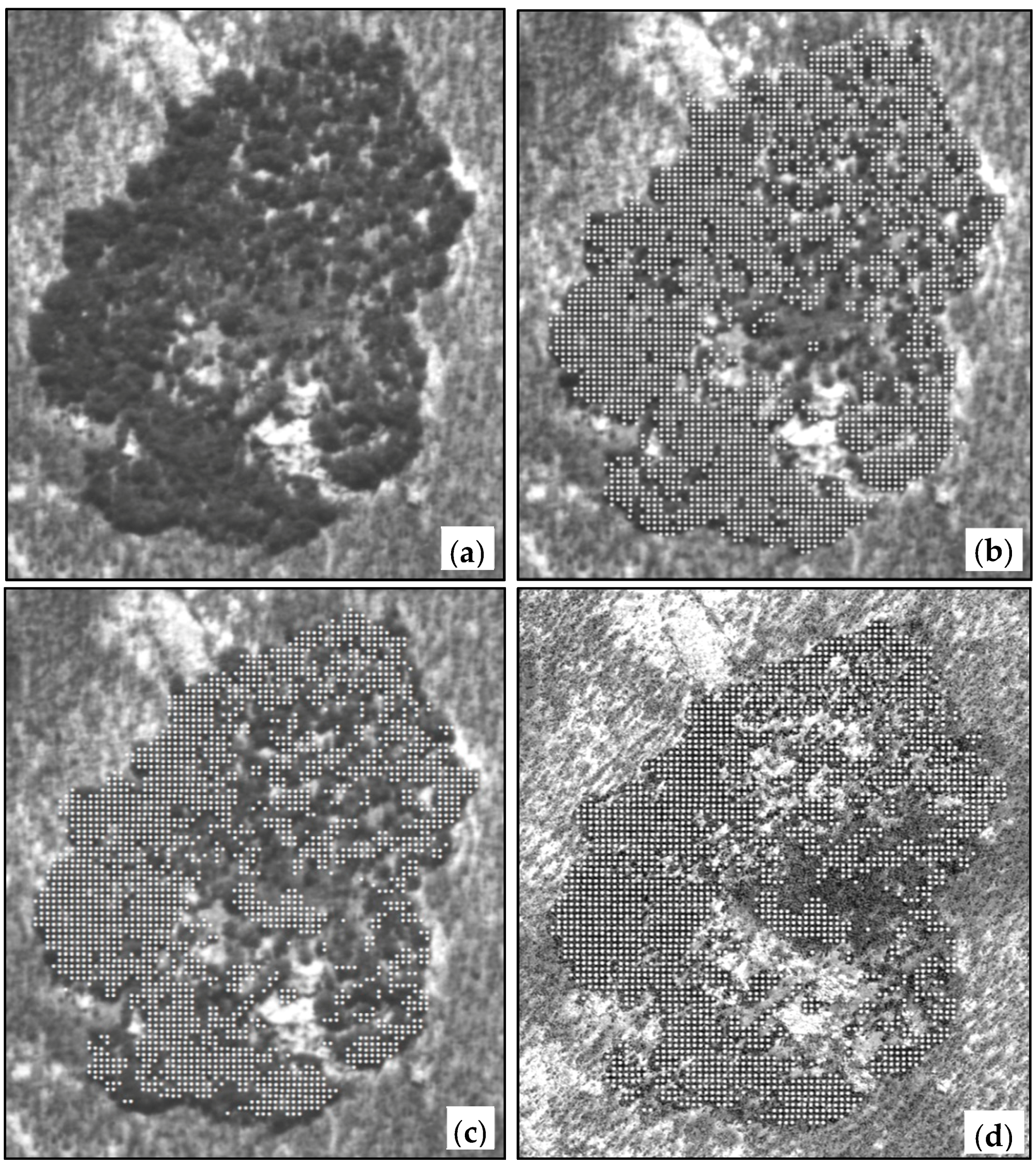 Forests 08 00481 g002