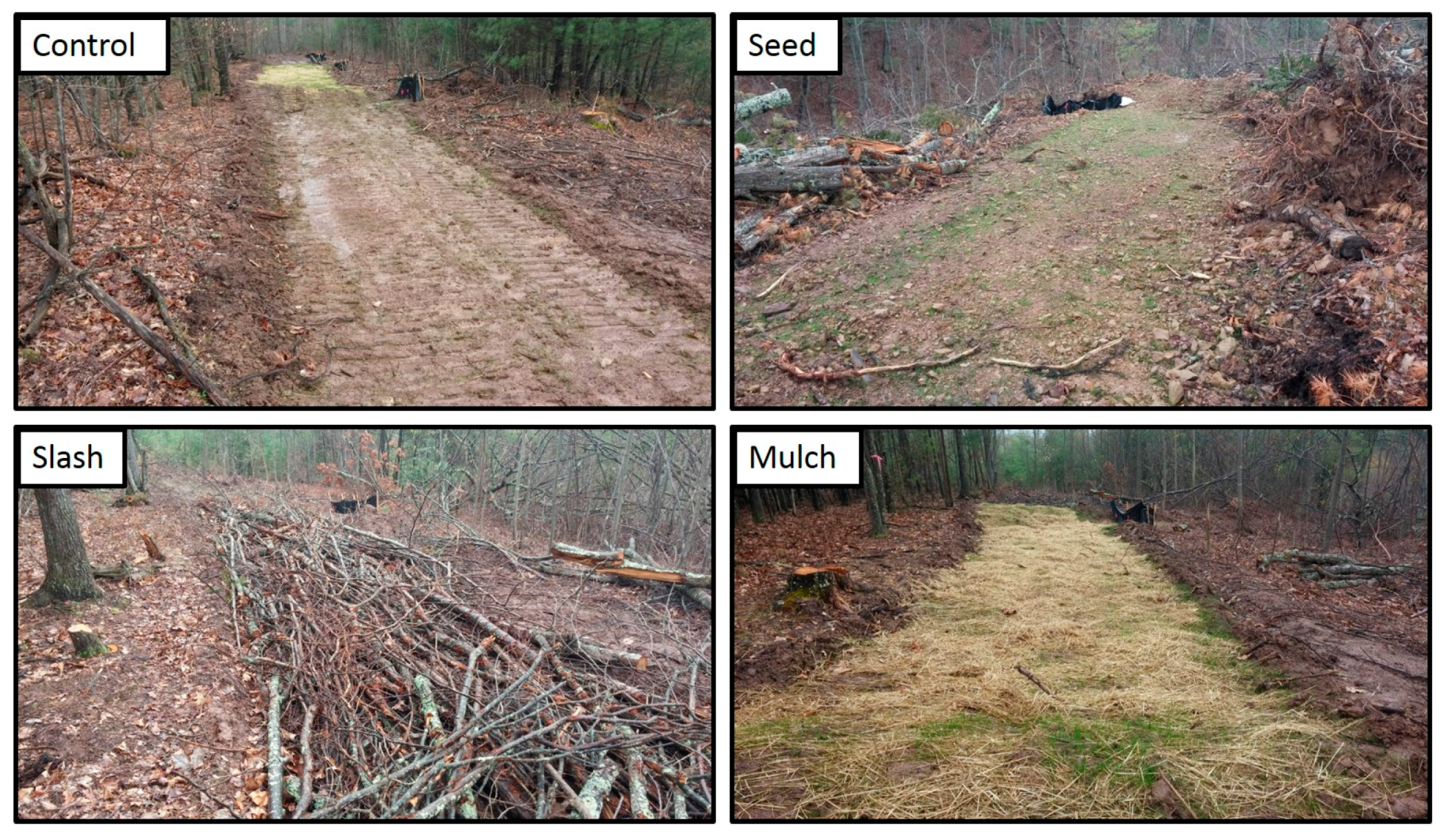 Forests 08 00482 g003