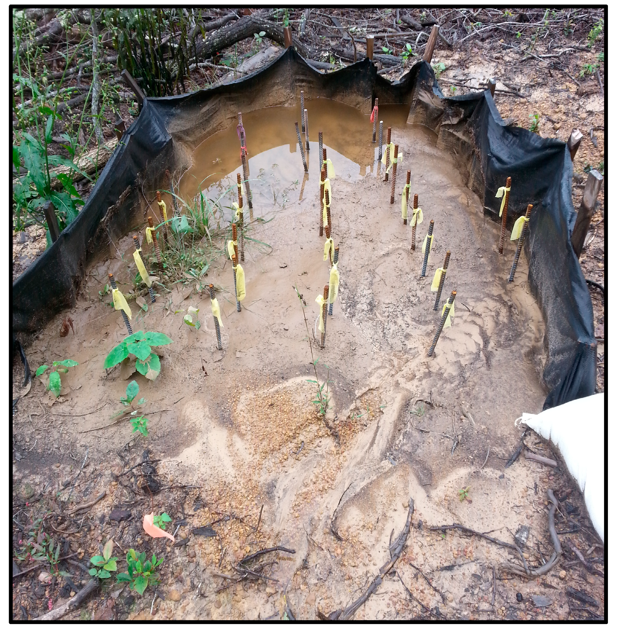 Forests 08 00482 g004