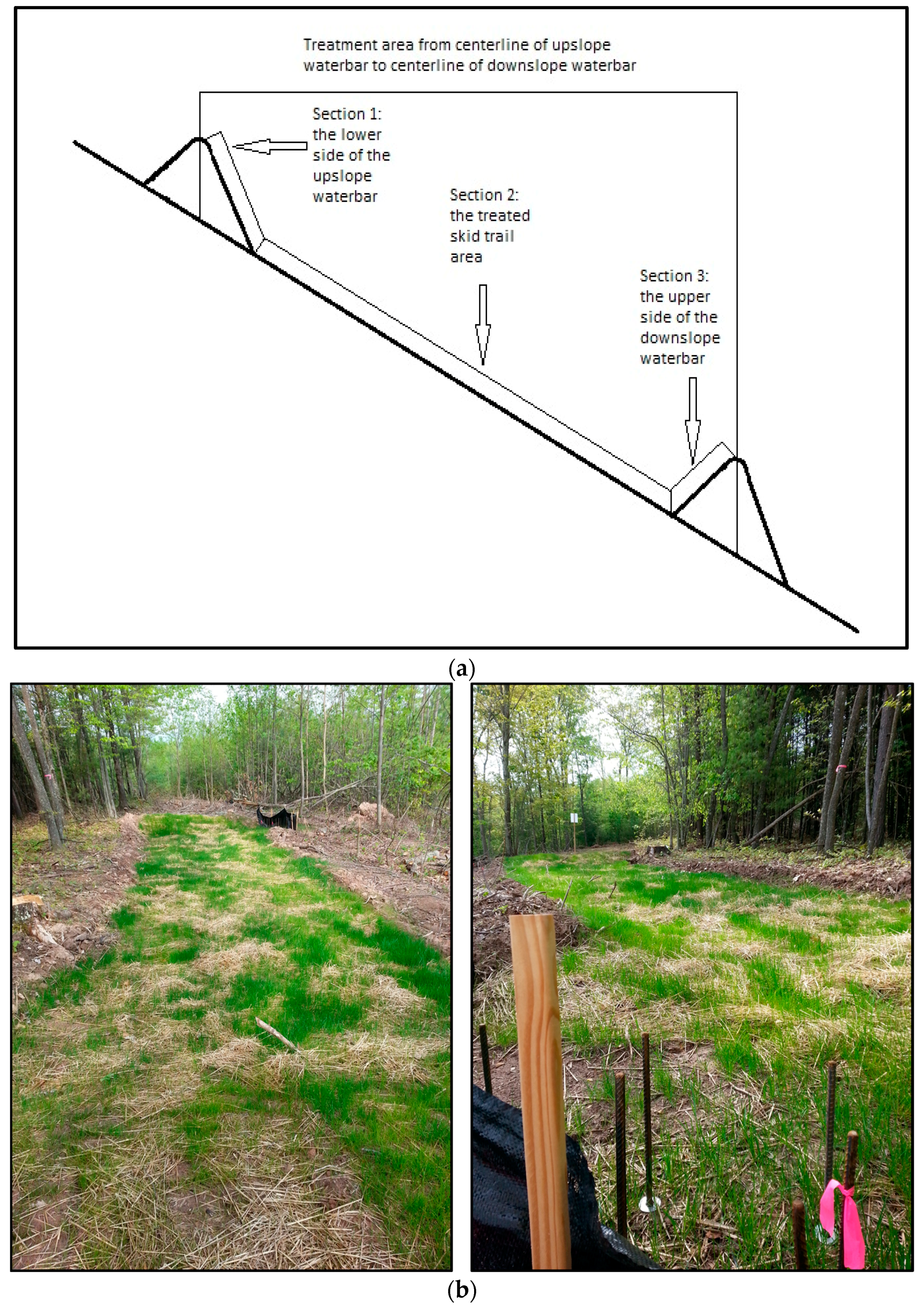 Forests 08 00482 g005