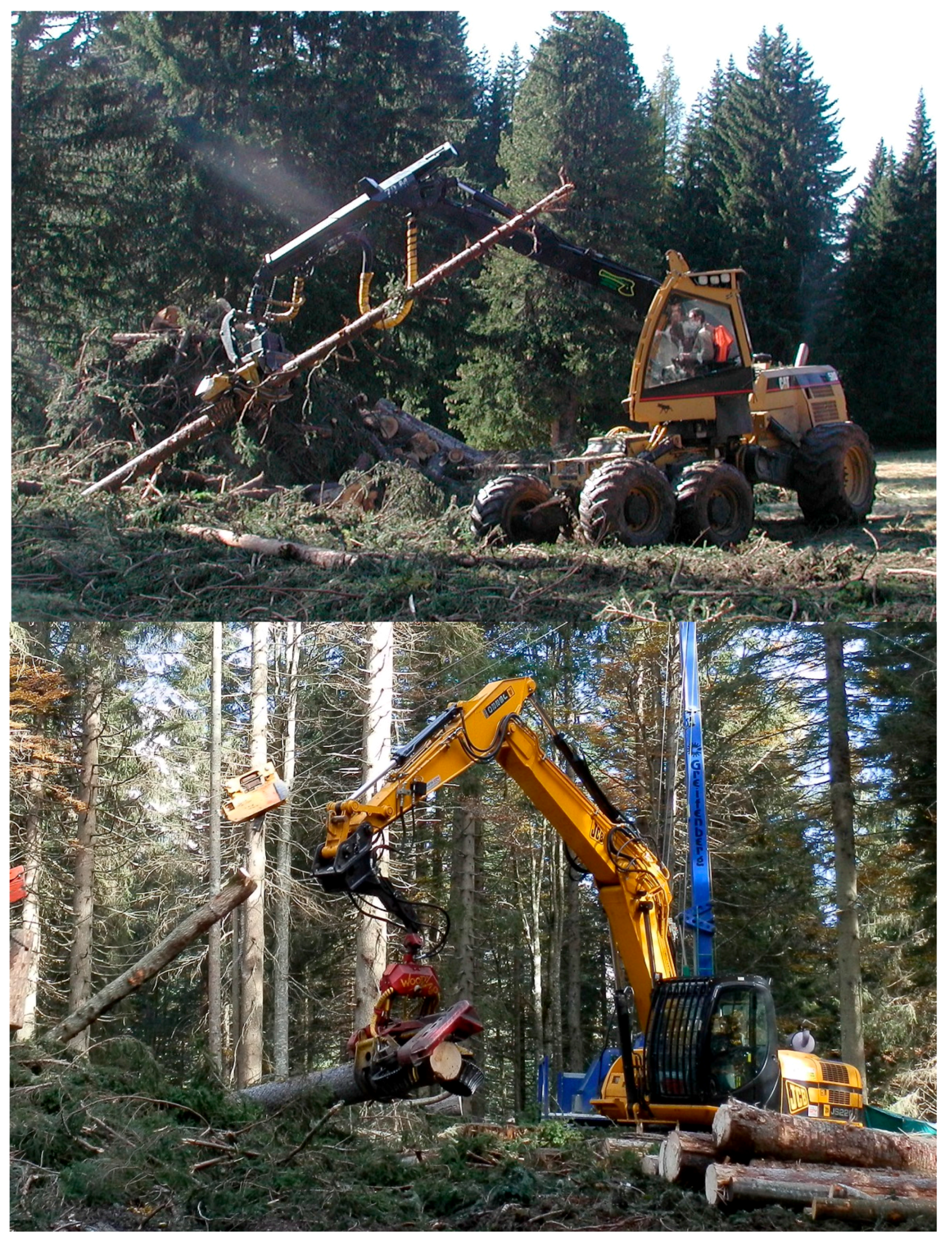 Forests 08 00485 g001