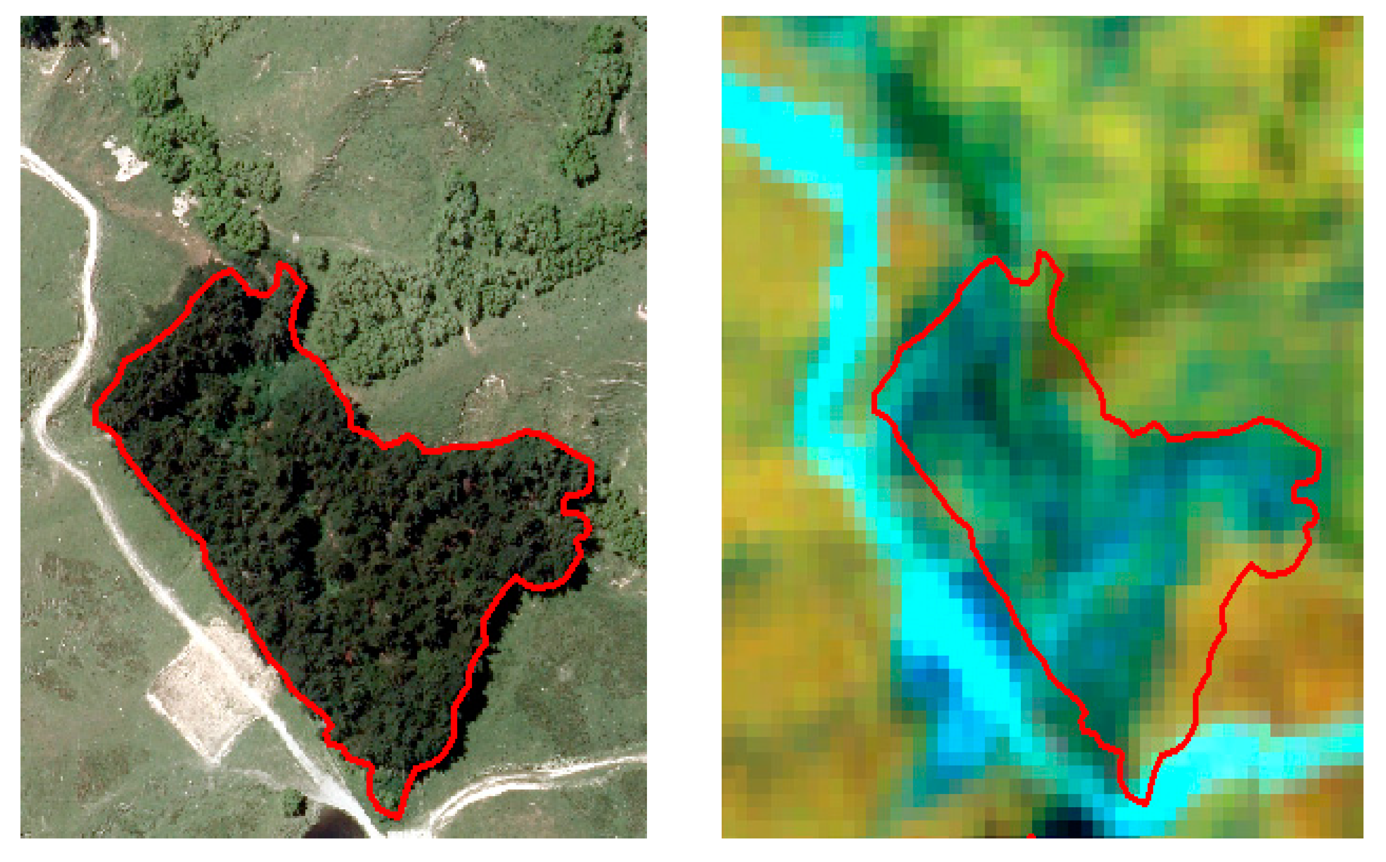 Forests 08 00487 g004