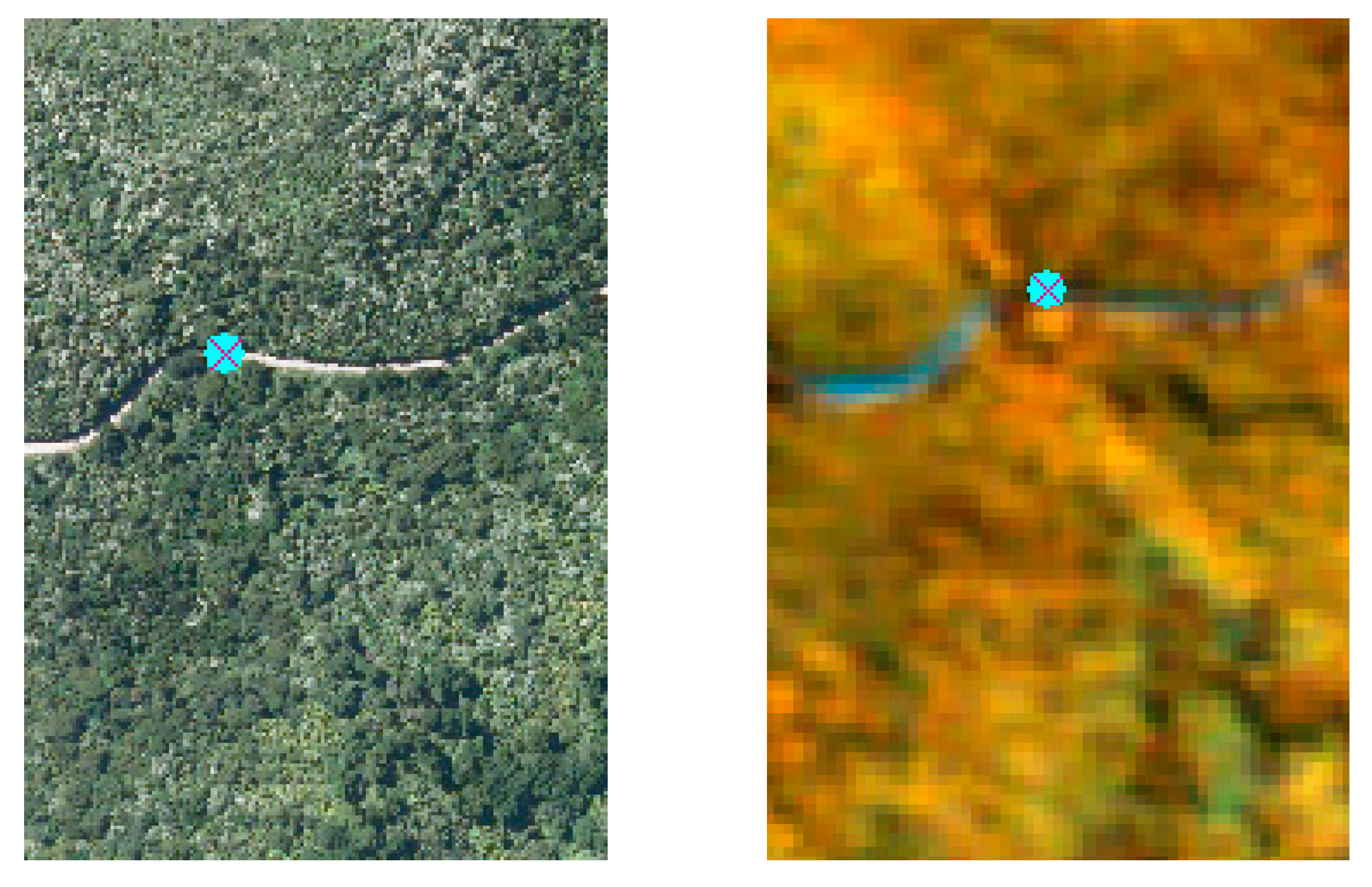 Forests 08 00487 g005