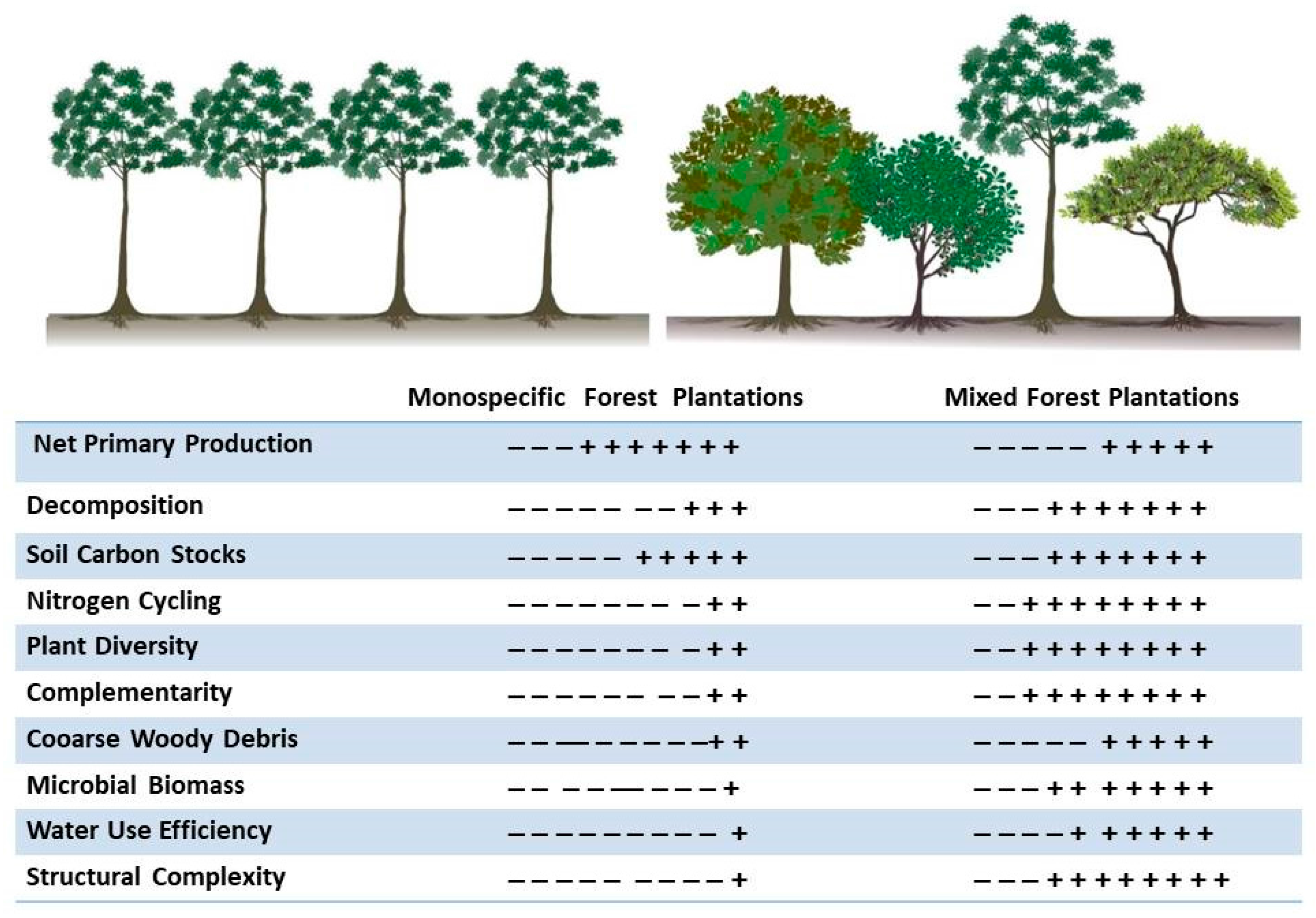 Forests 08 00489 g002 Forests 08 00489 g002