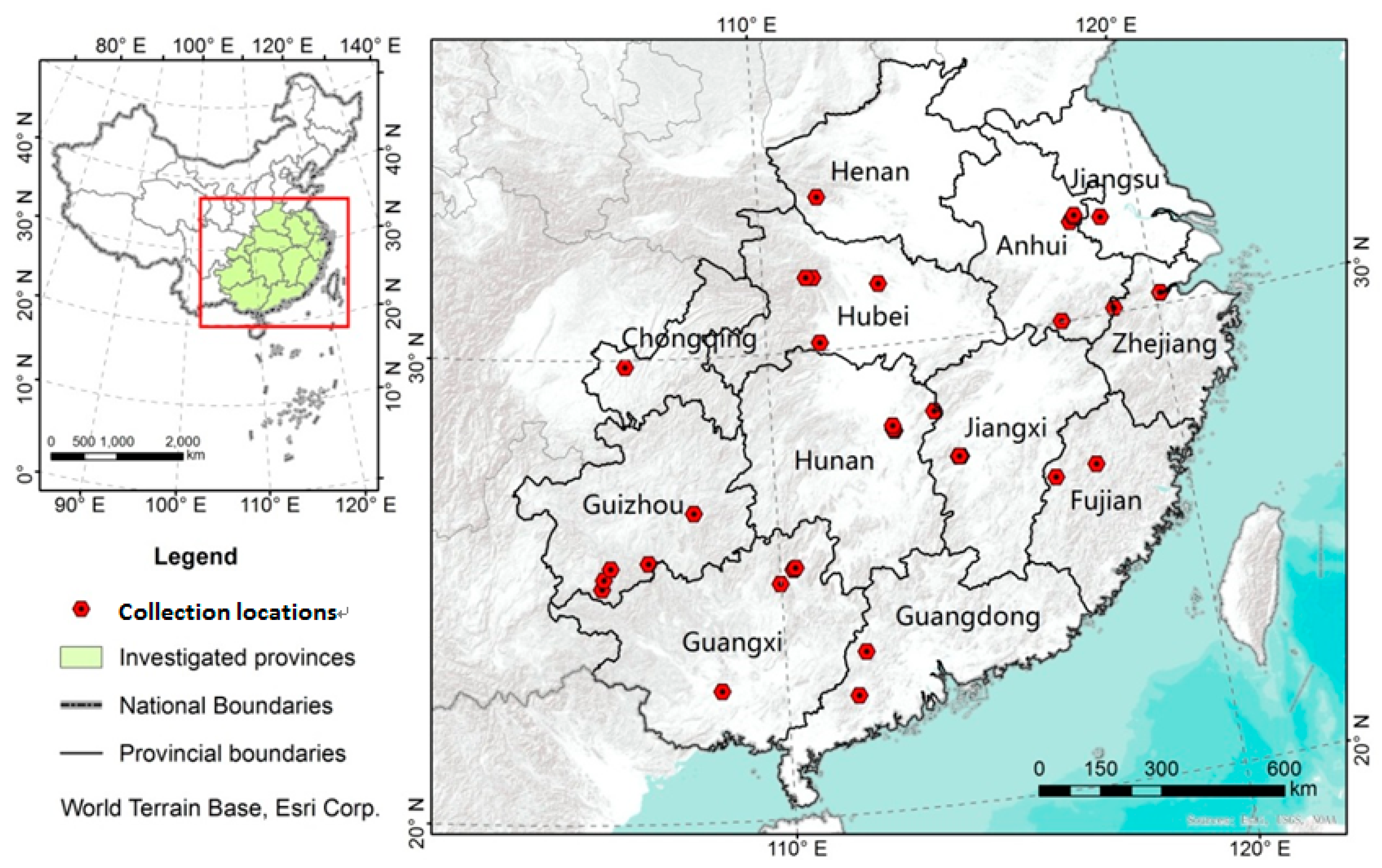 Forests 08 00491 g001