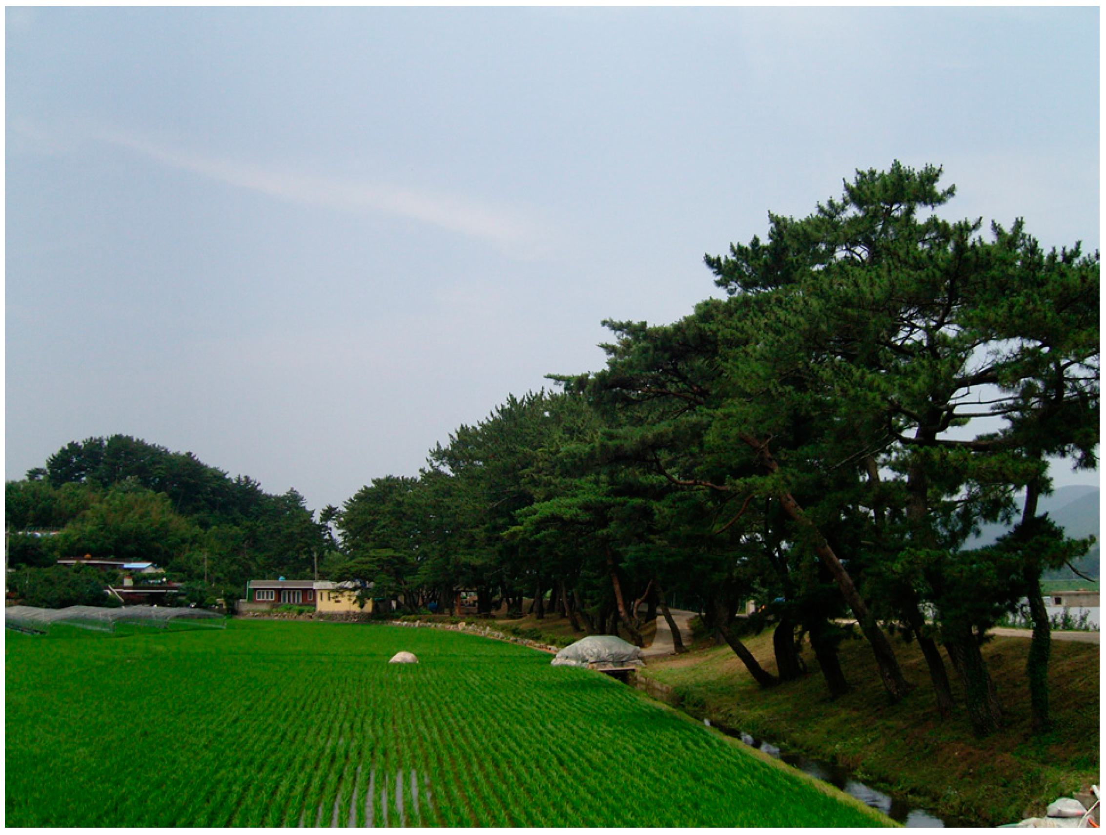 Forests 08 00496 g002