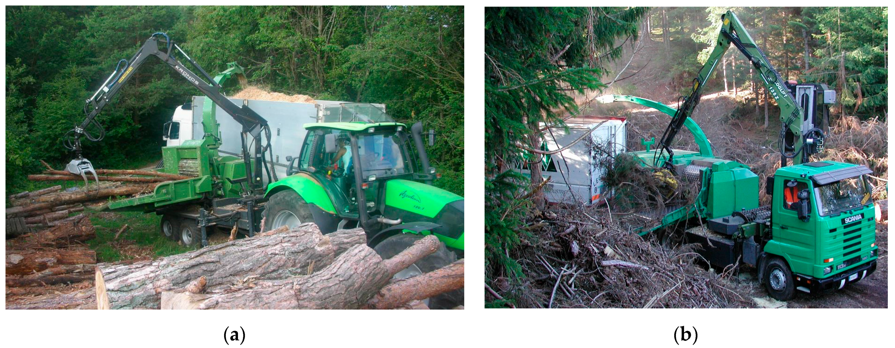 Forests 08 00503 g001