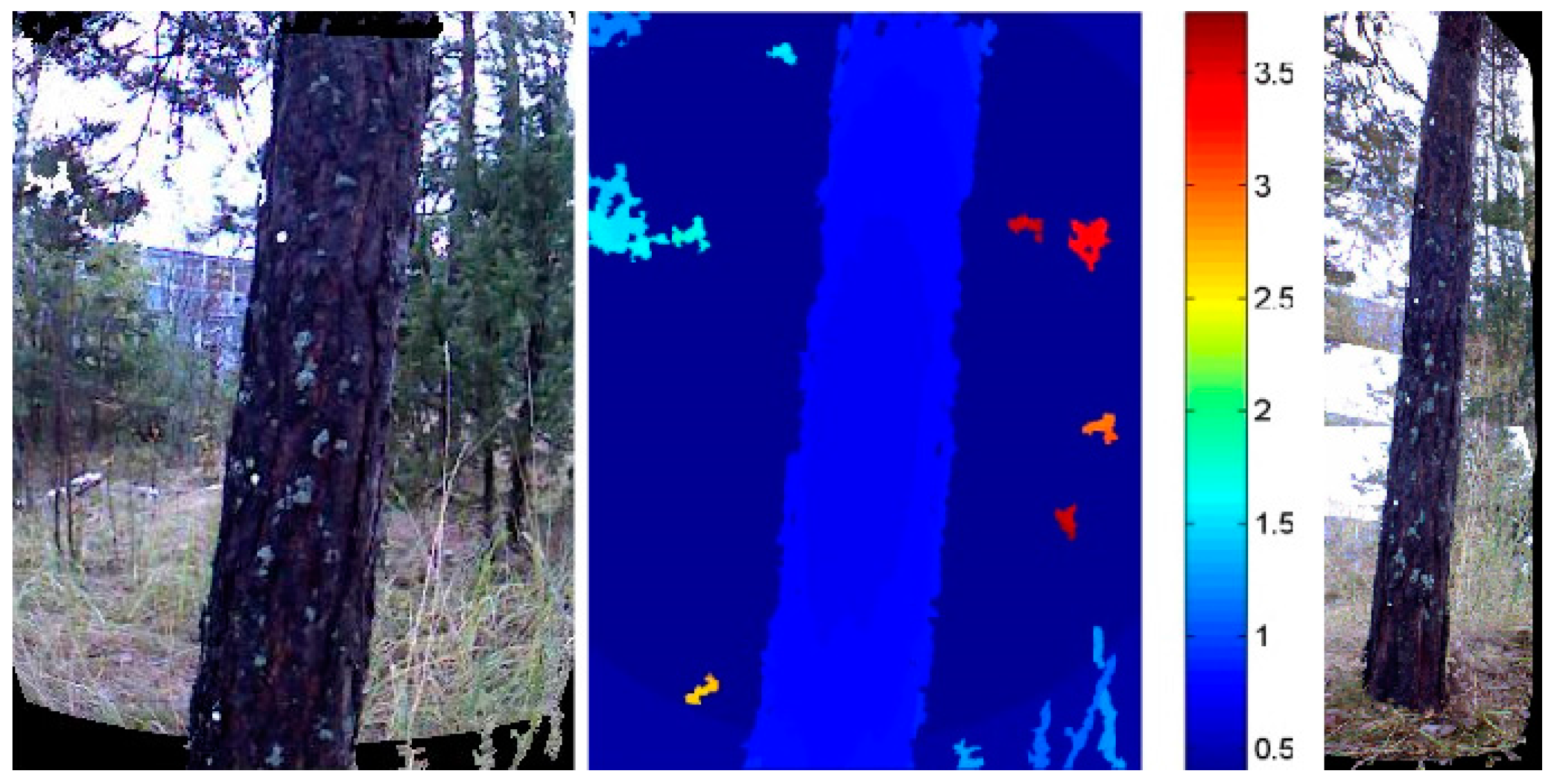 Forests 09 00006 g001