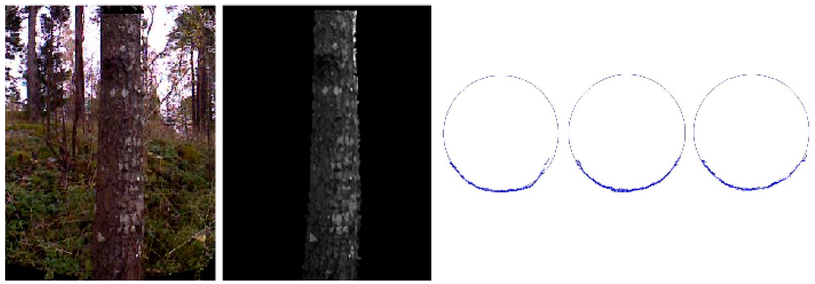 Forests 09 00006 g002