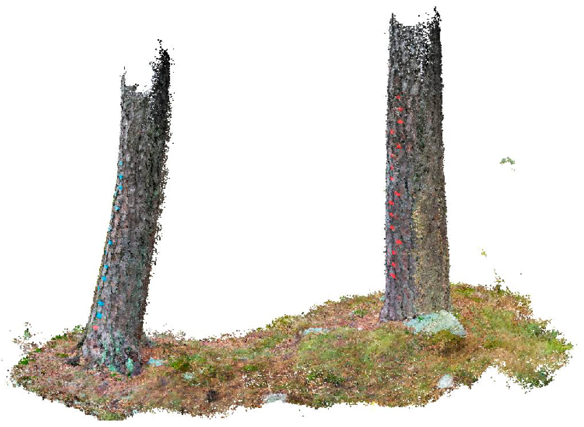 Forests 09 00006 g003