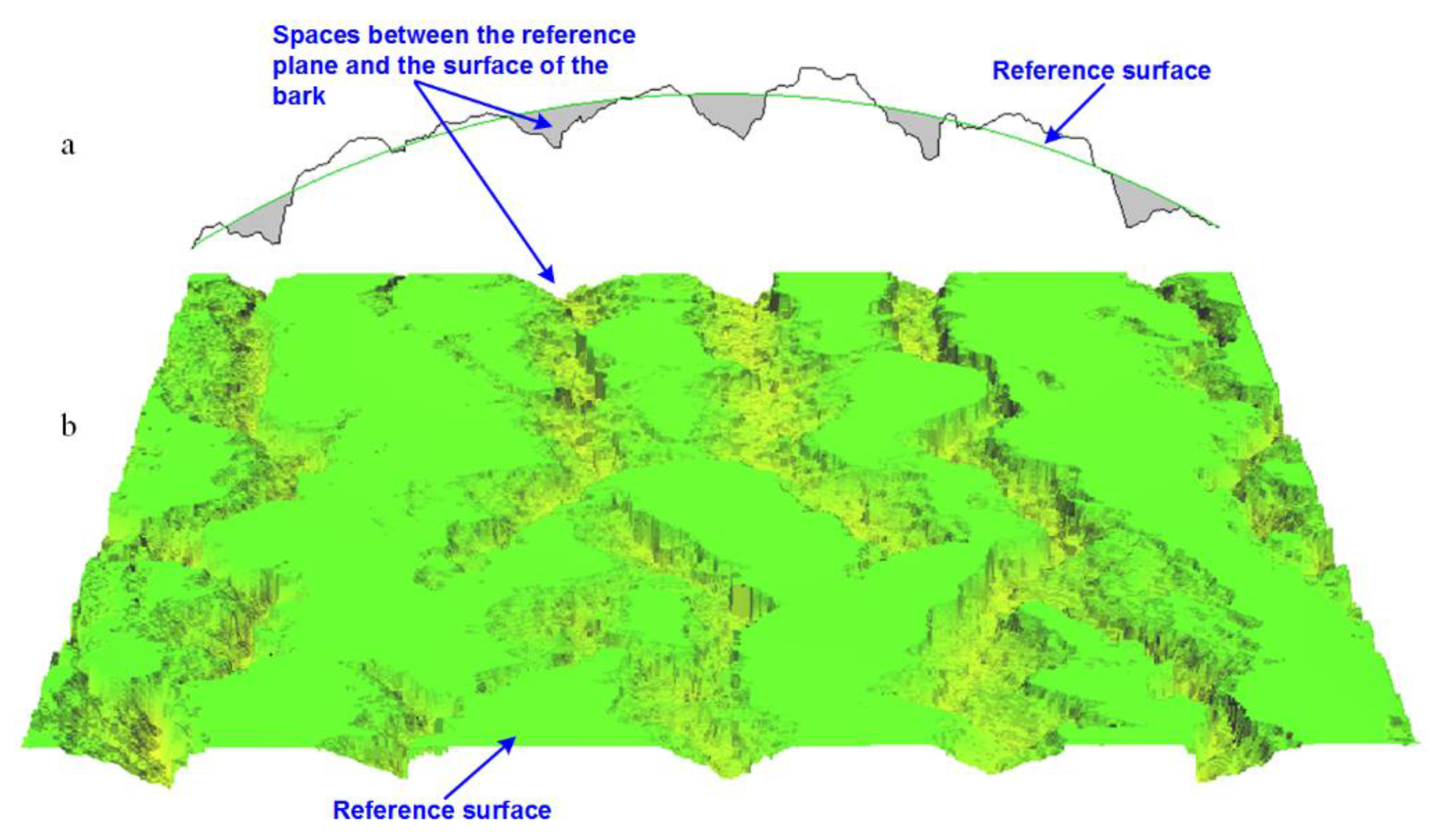 Forests 09 00030 g009