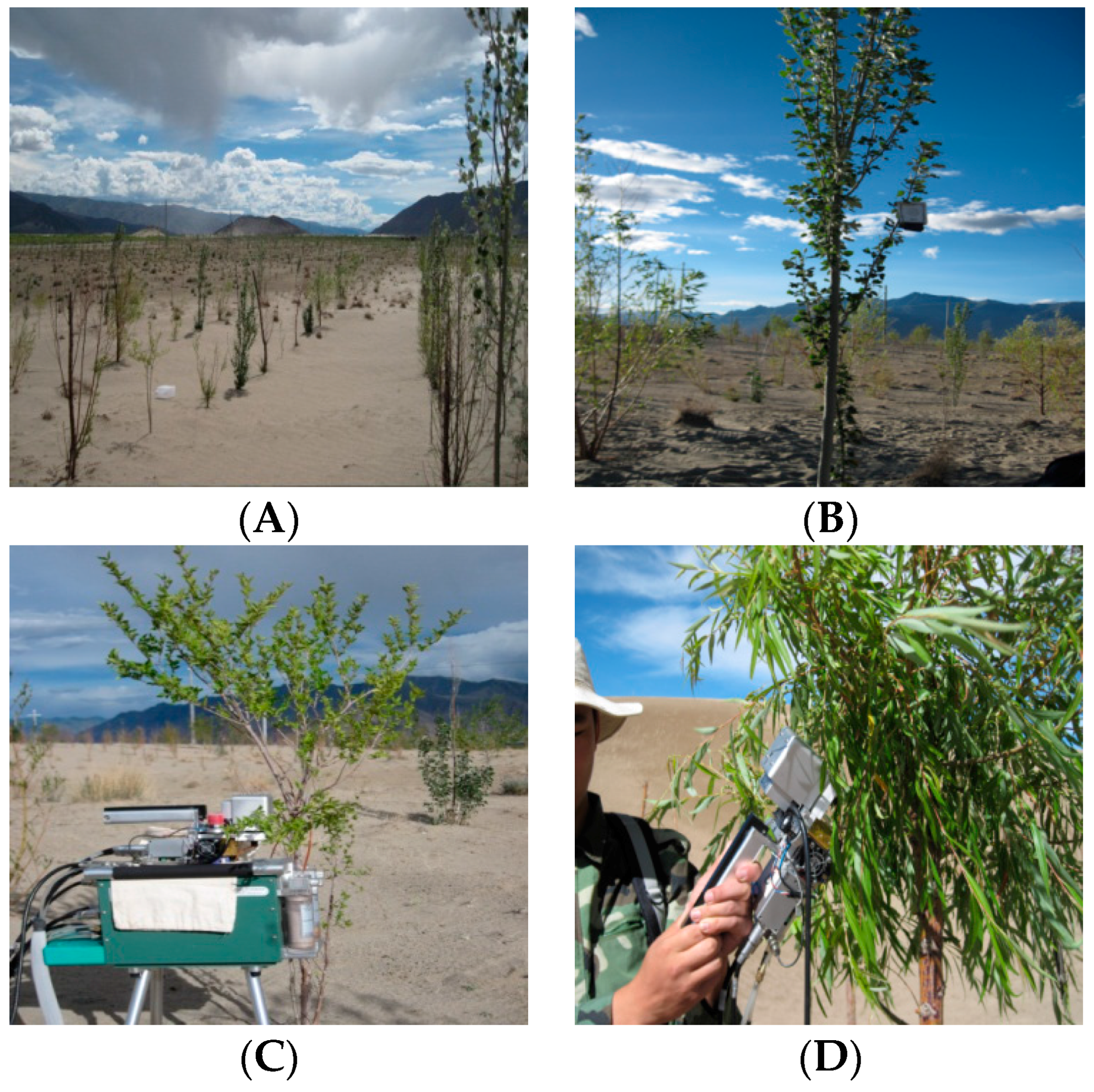 Forests 09 00048 g001