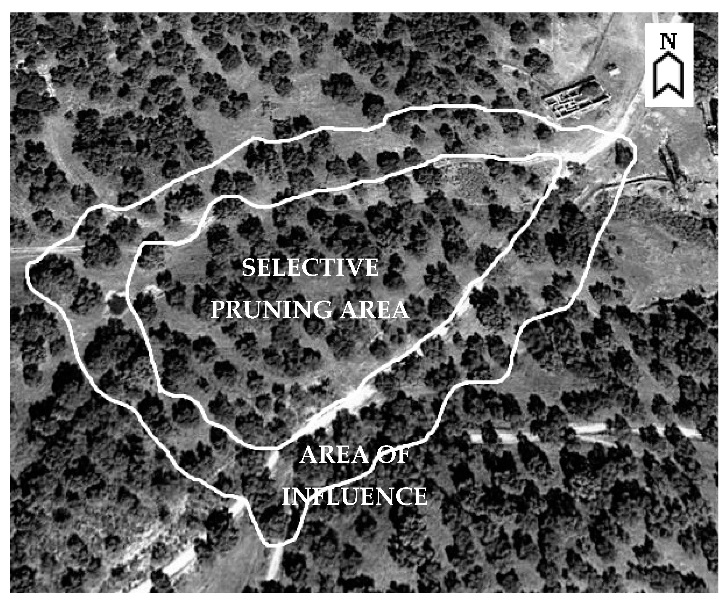 Forests 09 00049 g003