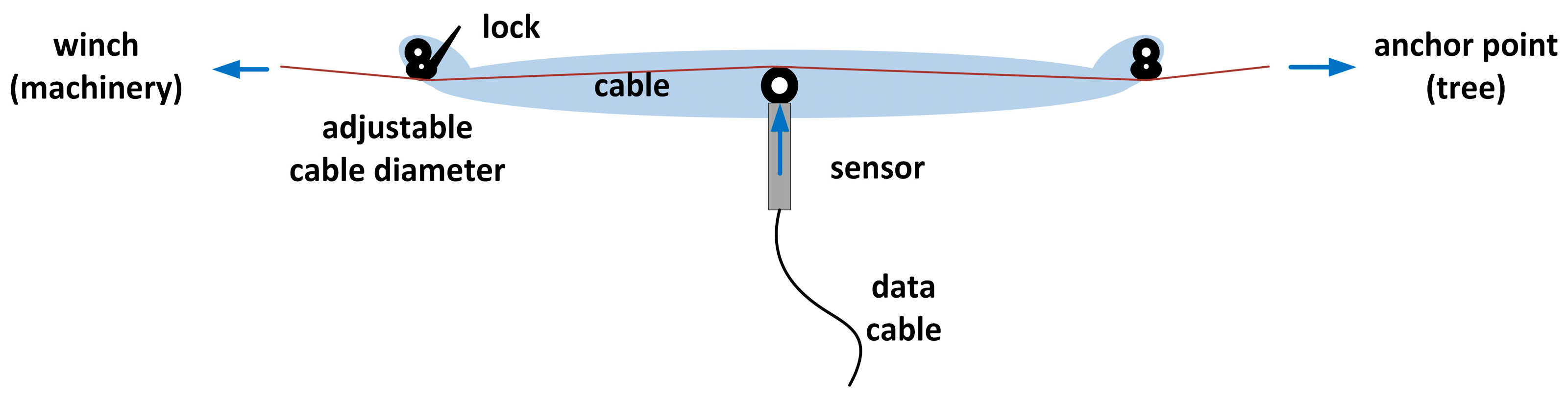 Forests 09 00053 g002
