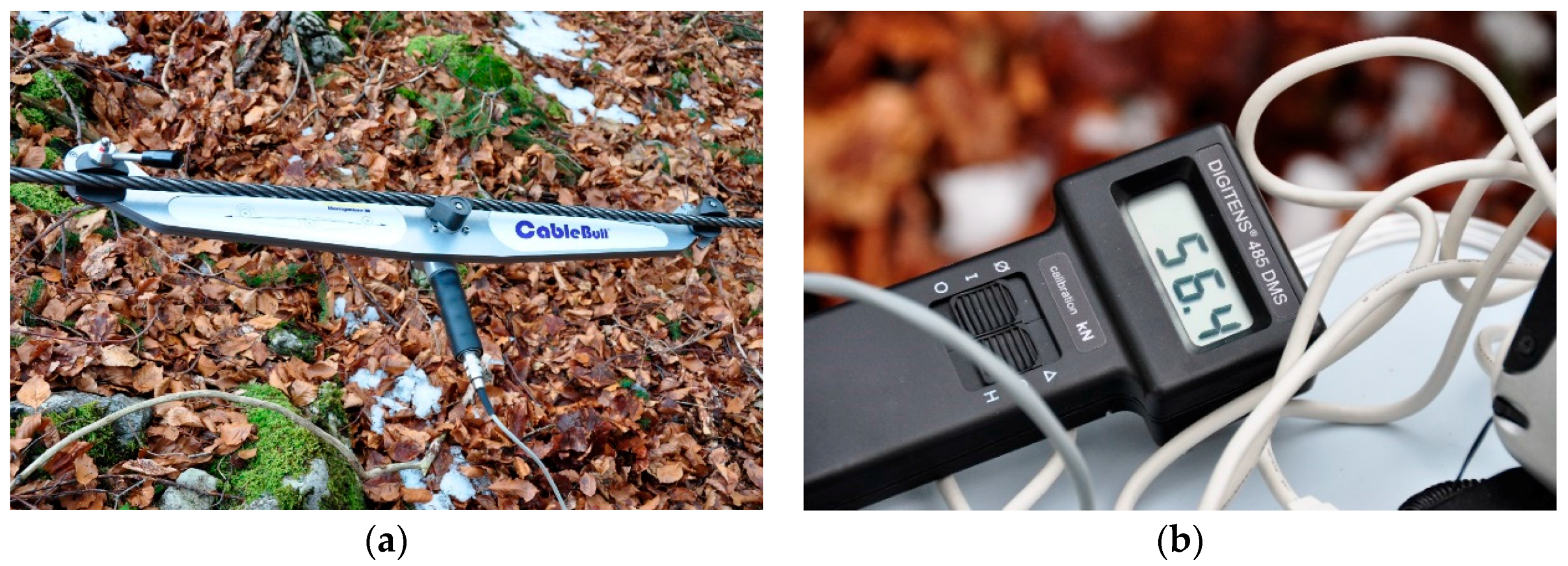 Forests 09 00053 g003