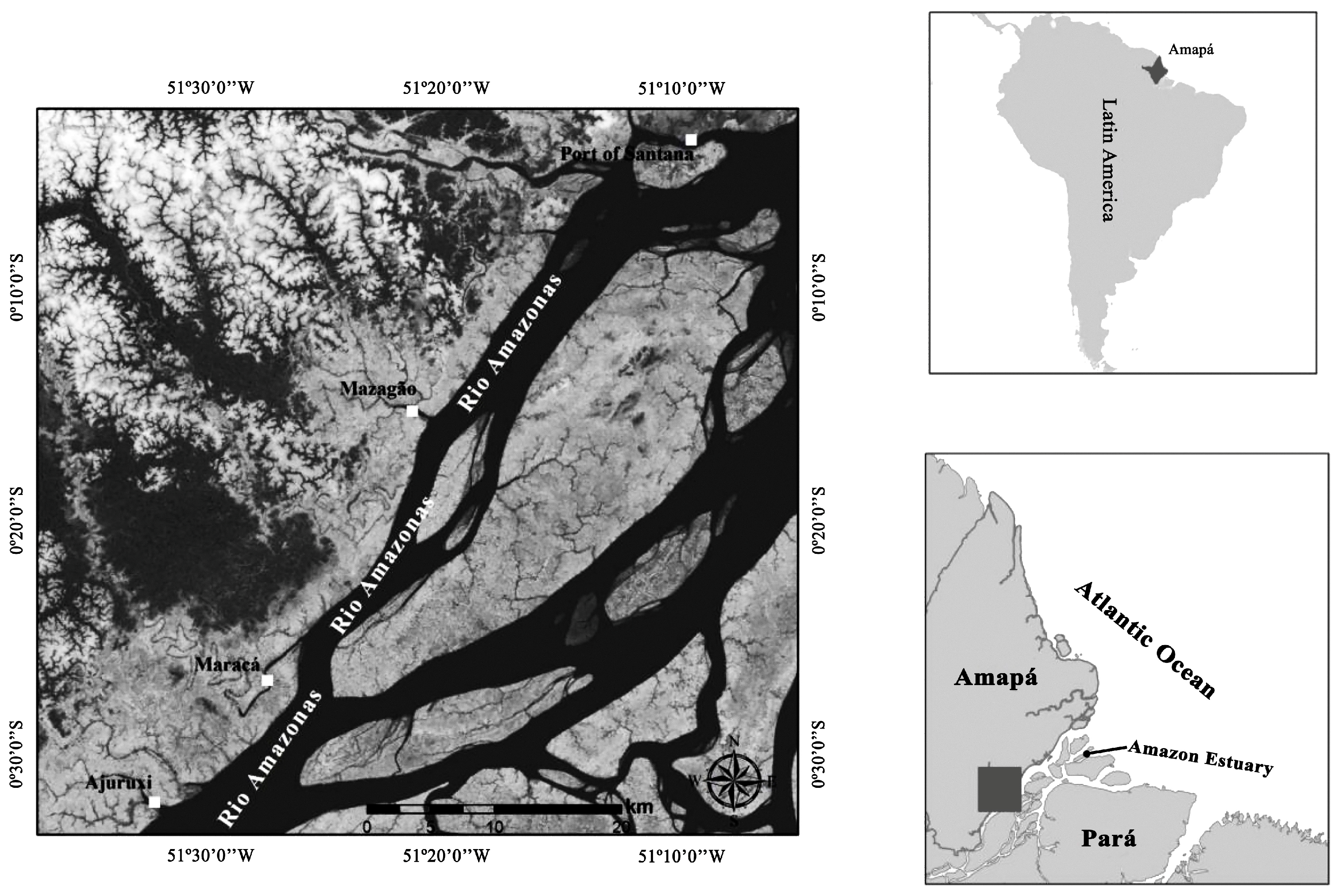 Forests 09 00054 g001