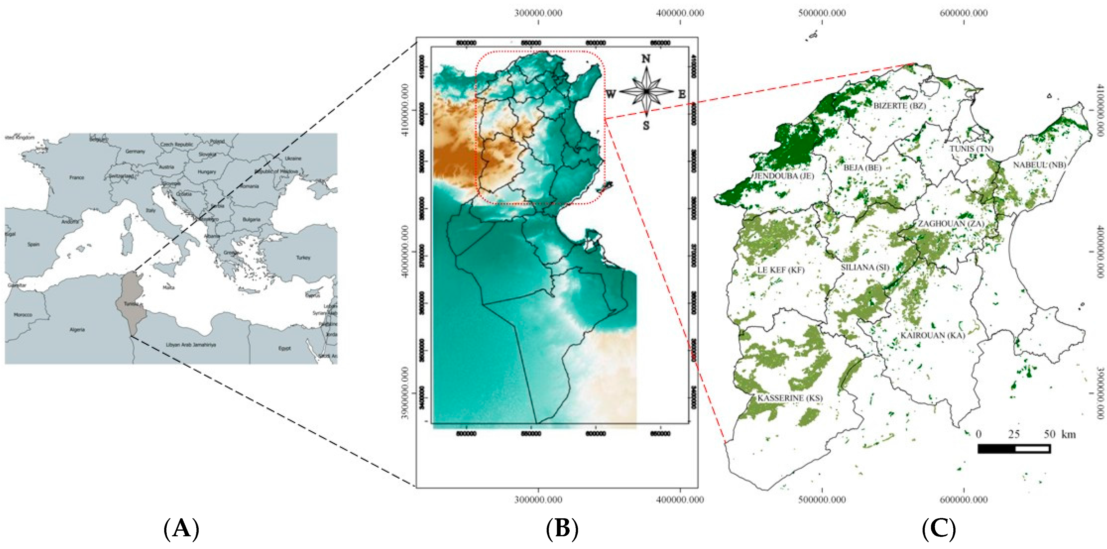 Forests 09 00059 g001