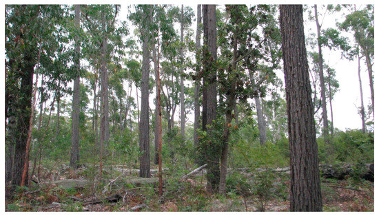 Forests 09 00060 g0a1 550