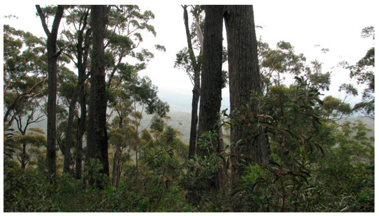 Forests 09 00060 g0a2 550