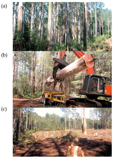 Forests 09 00060 g0a5 550