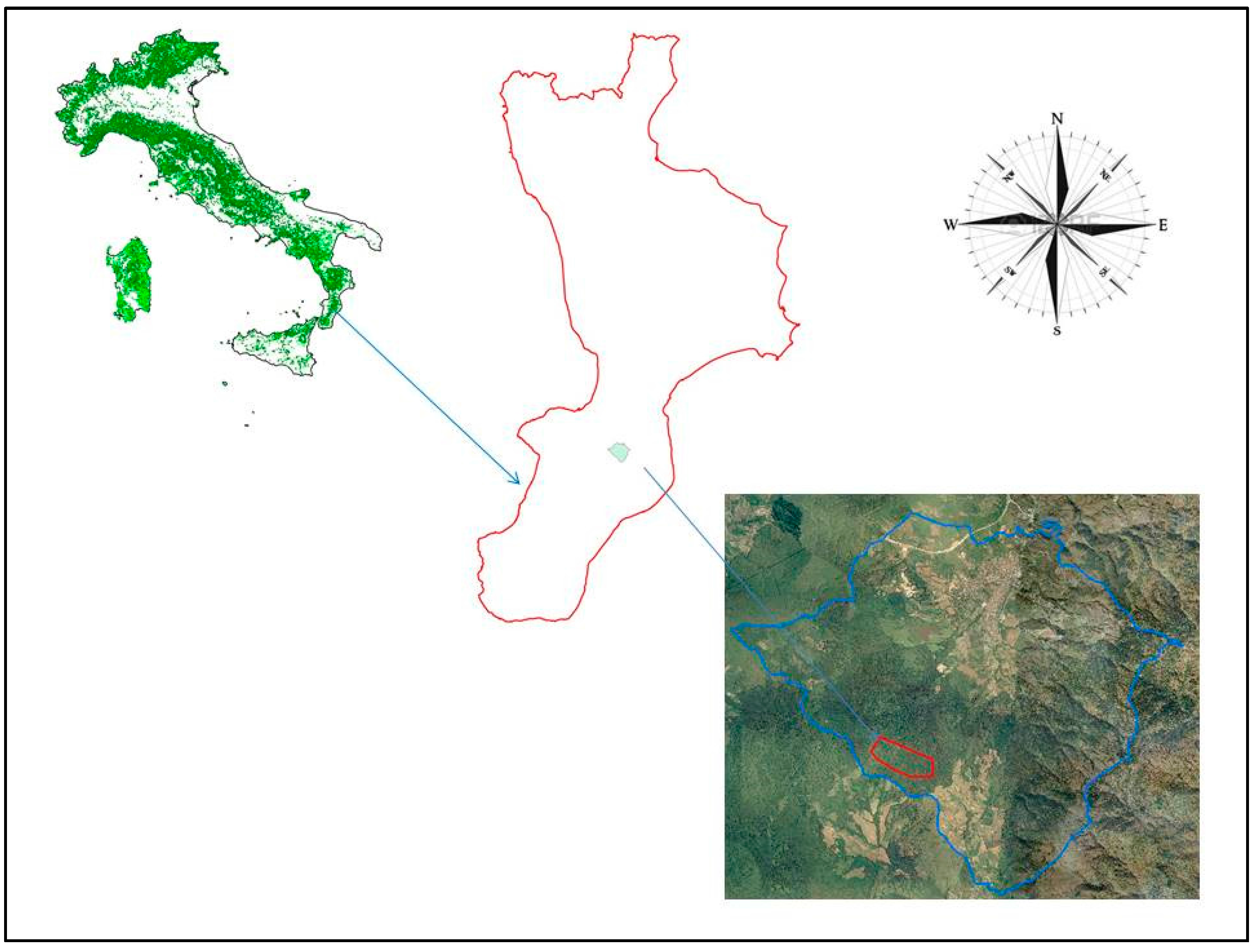 Forests 09 00061 g001