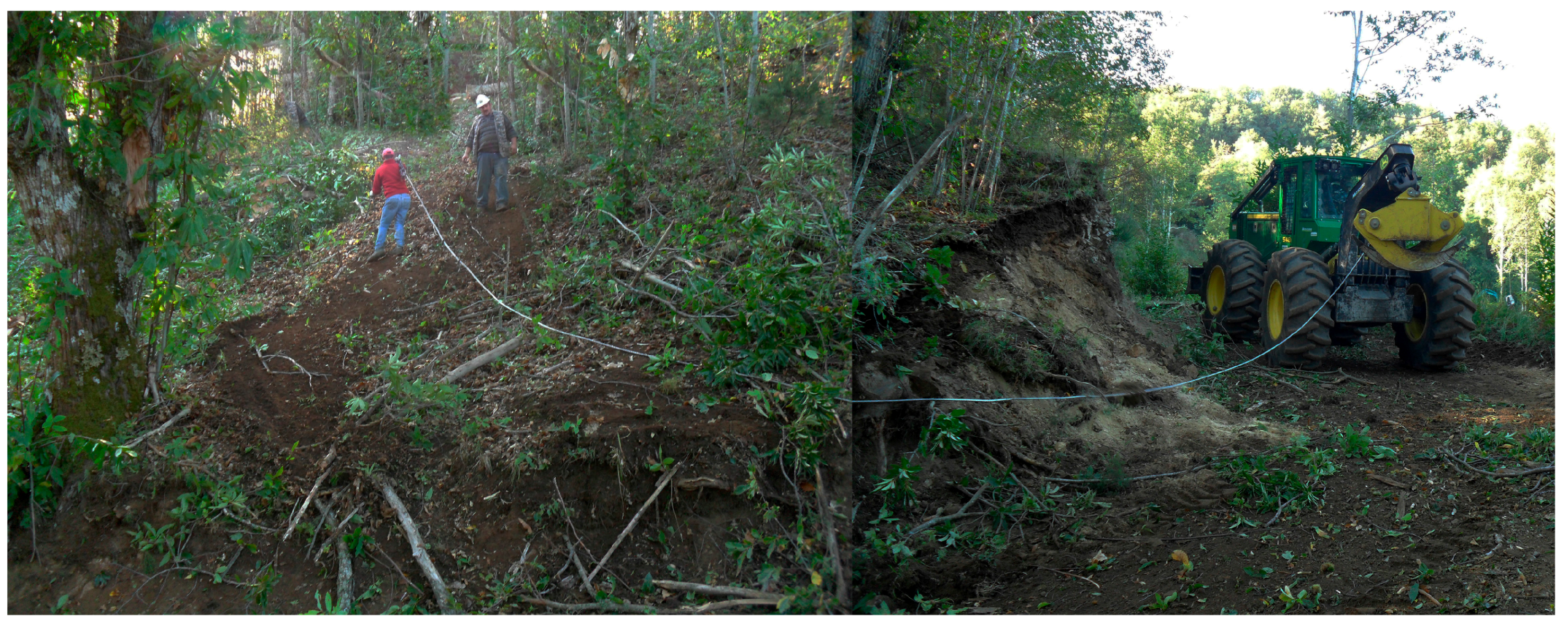 Forests 09 00061 g002