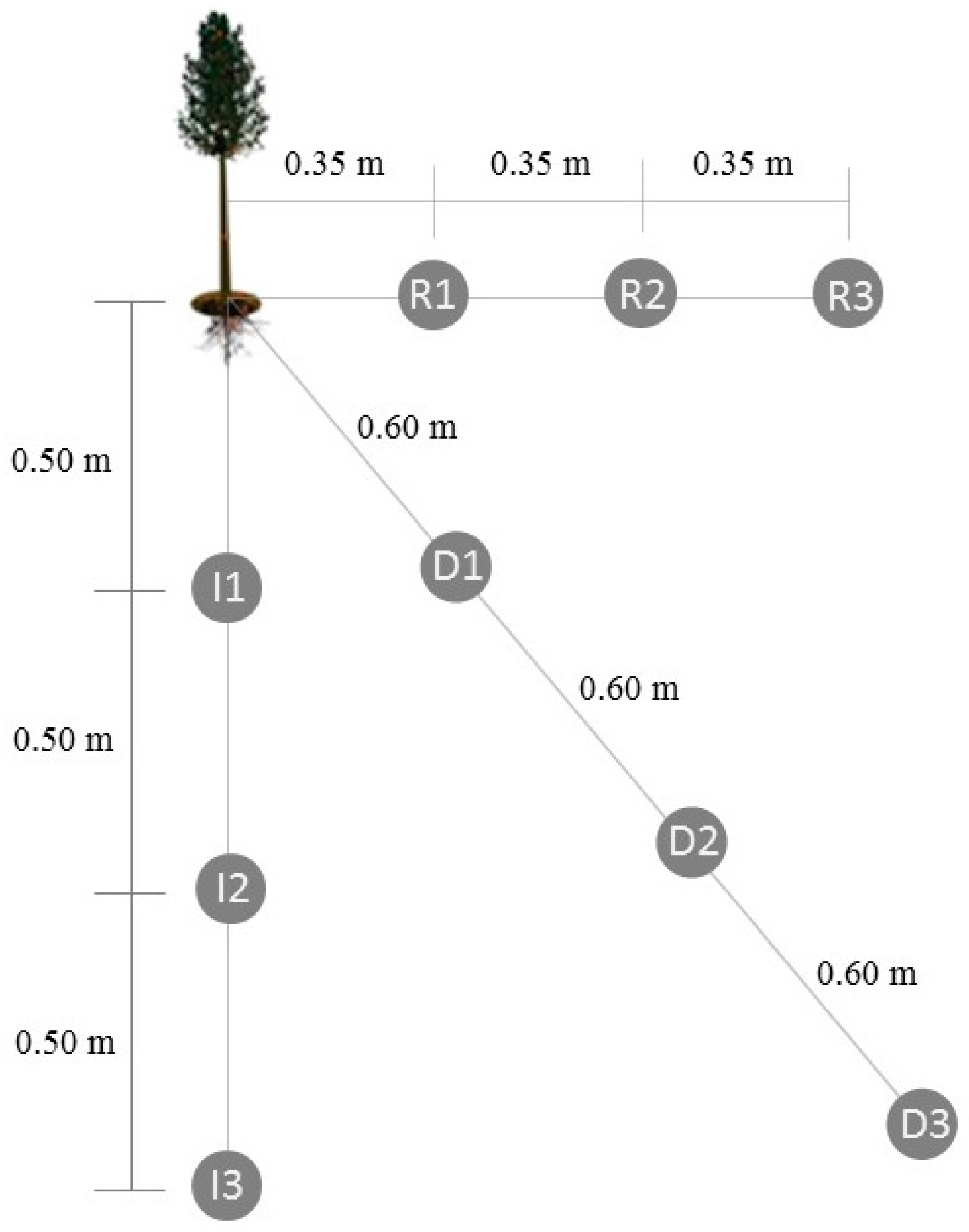 Forests 09 00062 g001