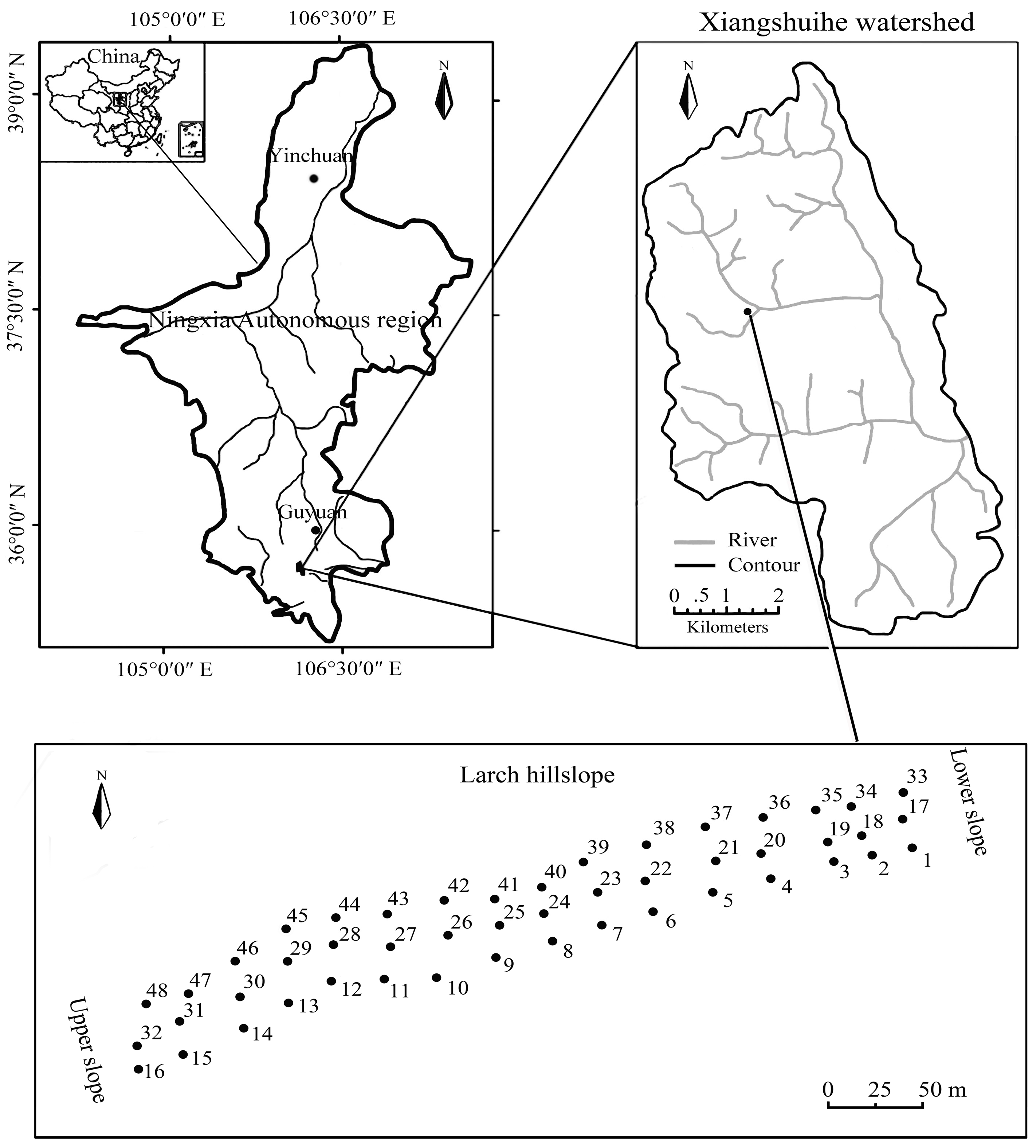 Forests 09 00068 g001