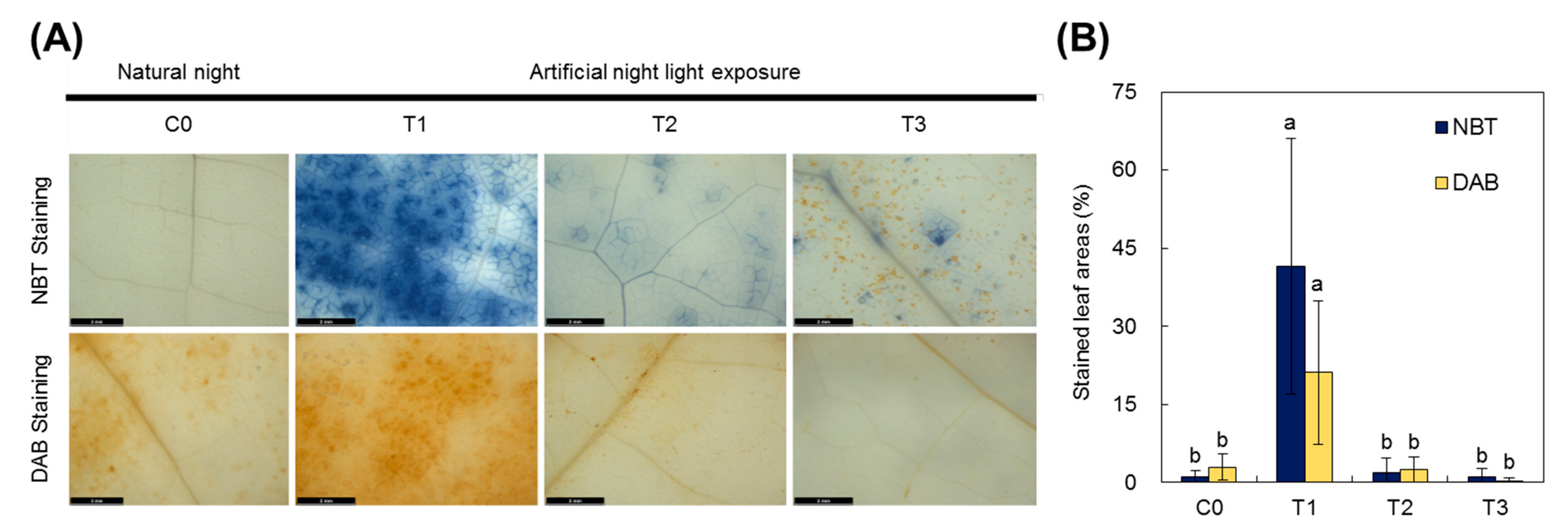 Forests 09 00074 g007