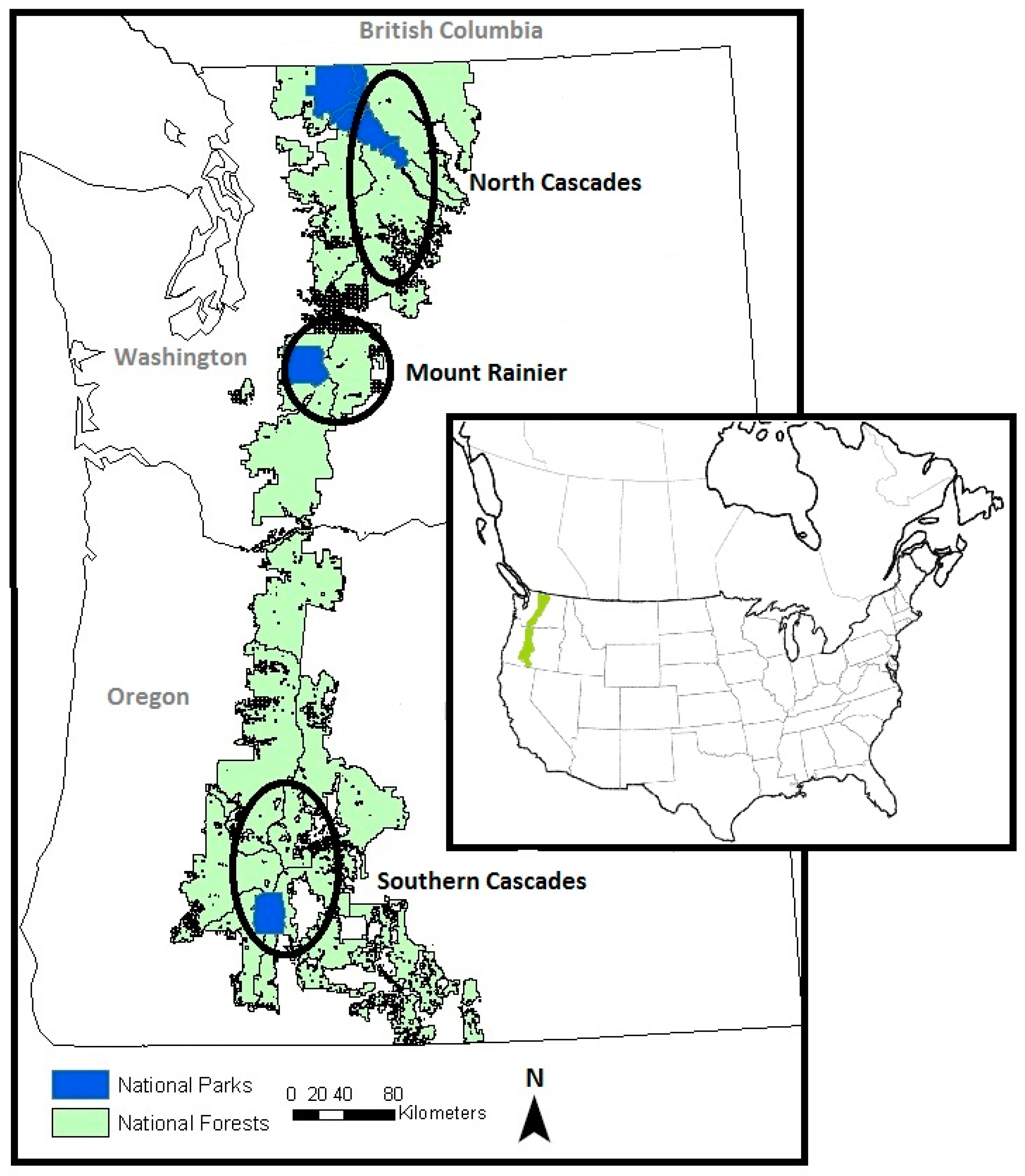 Forests 09 00078 g001