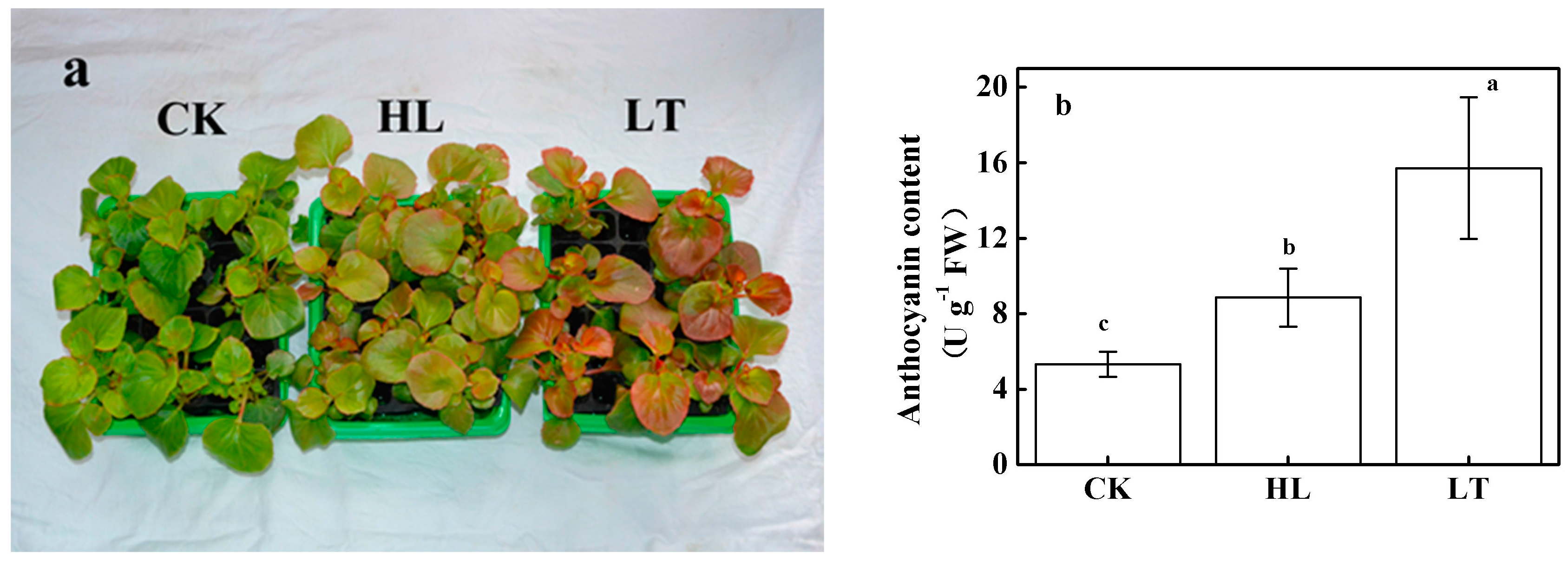 Forests 09 00087 g001