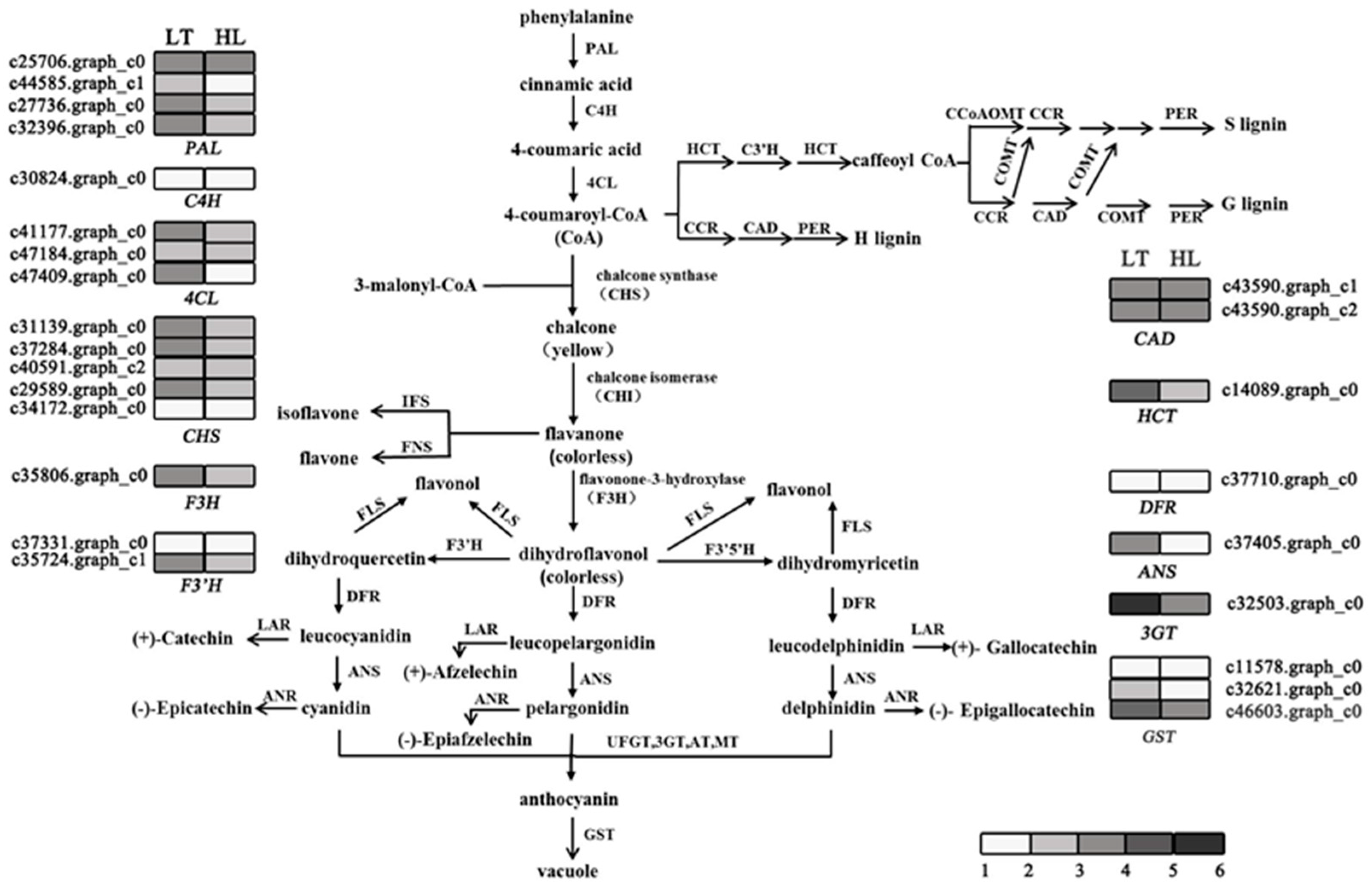 Forests 09 00087 g004