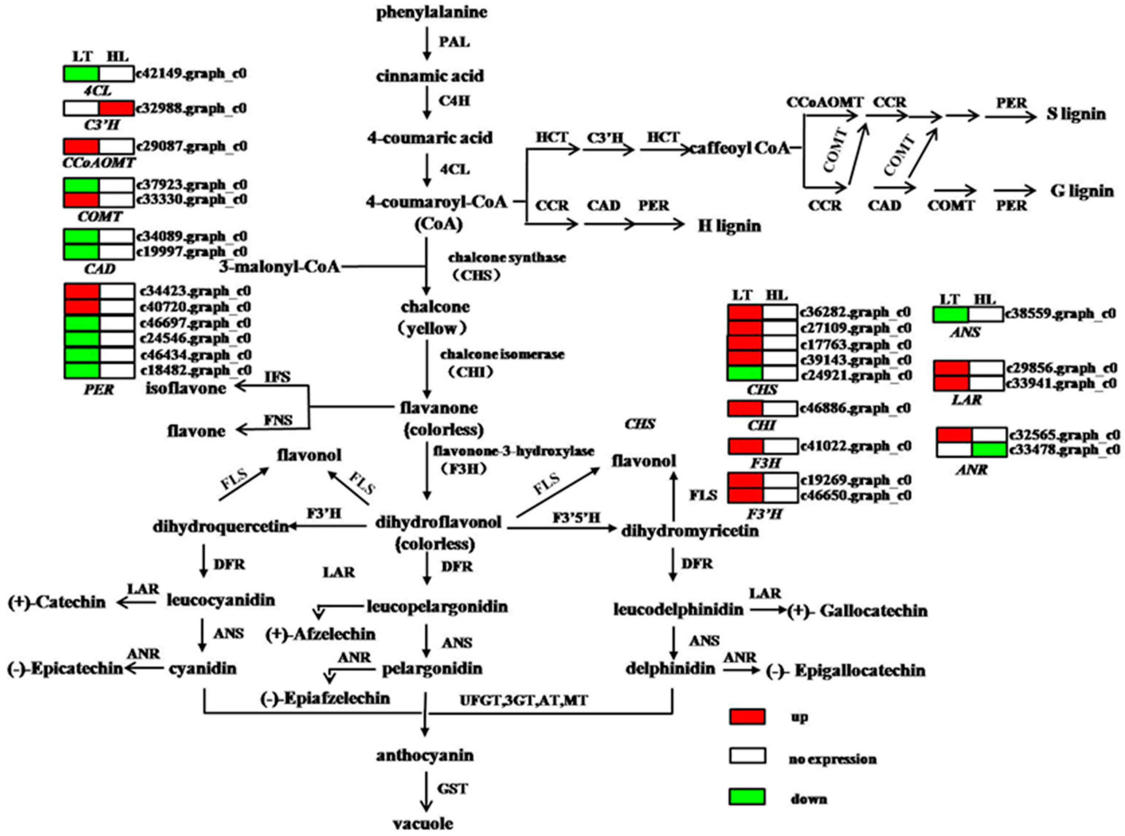 Forests 09 00087 g005