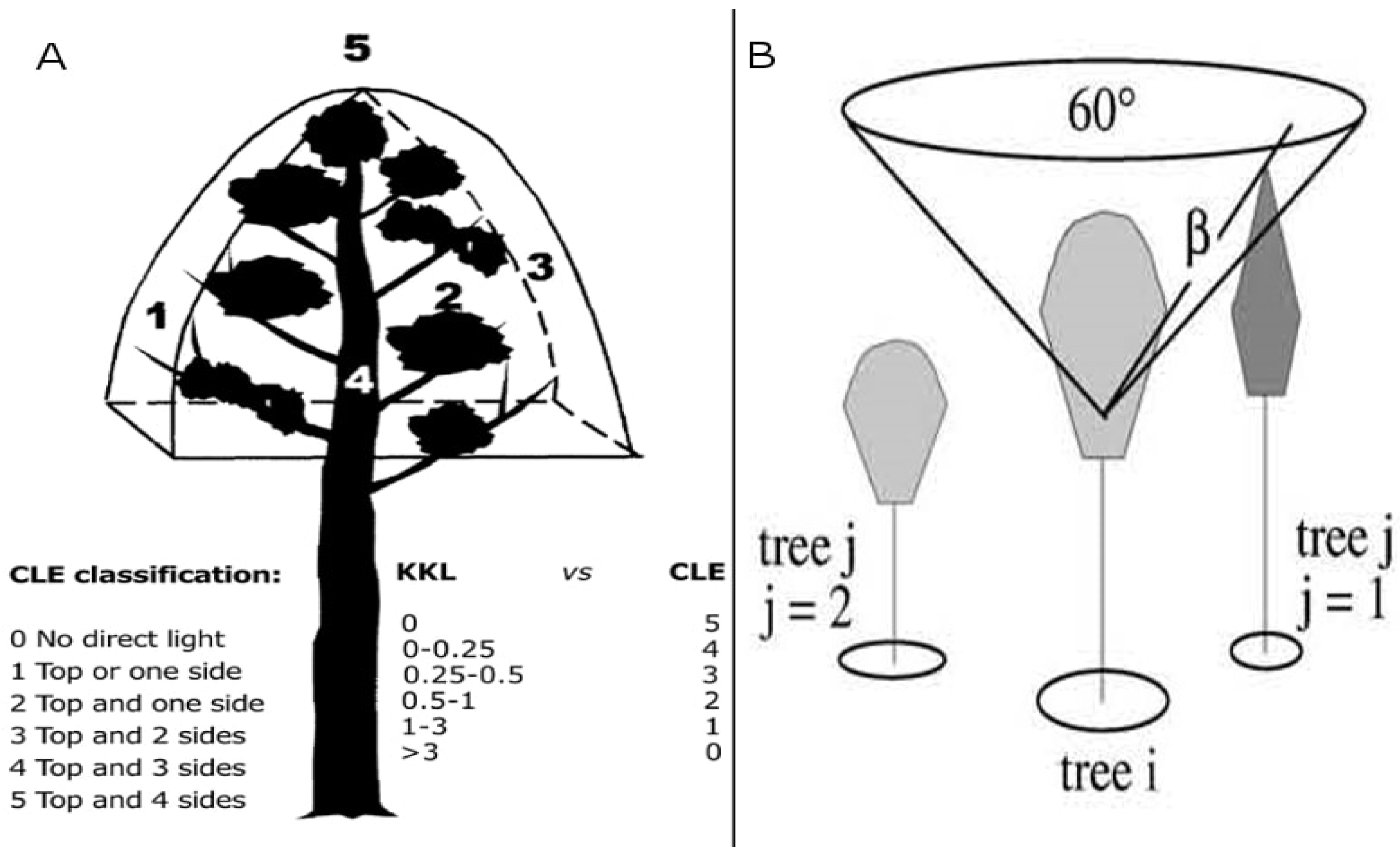Forests 09 00089 g002