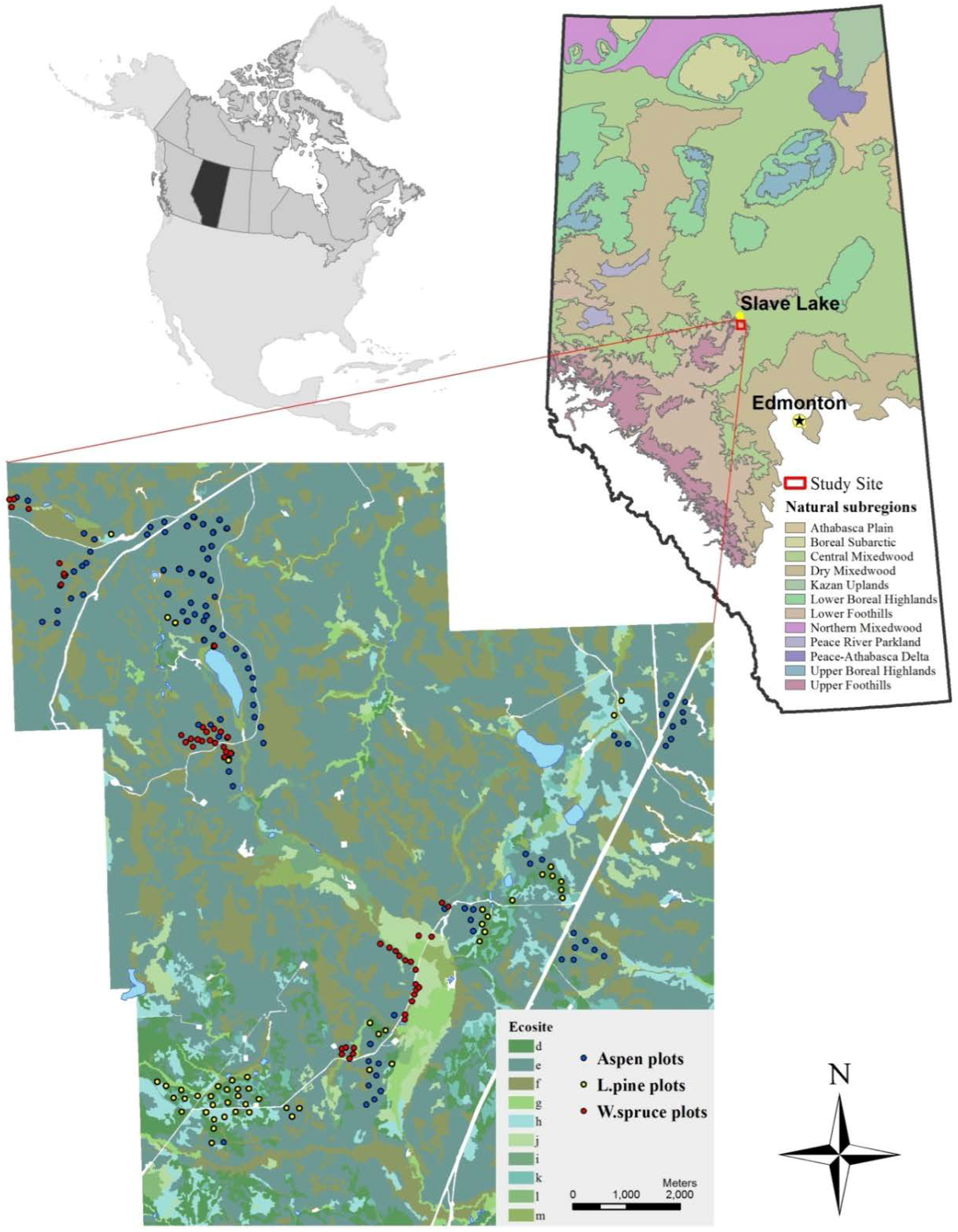 Forests 09 00113 g001