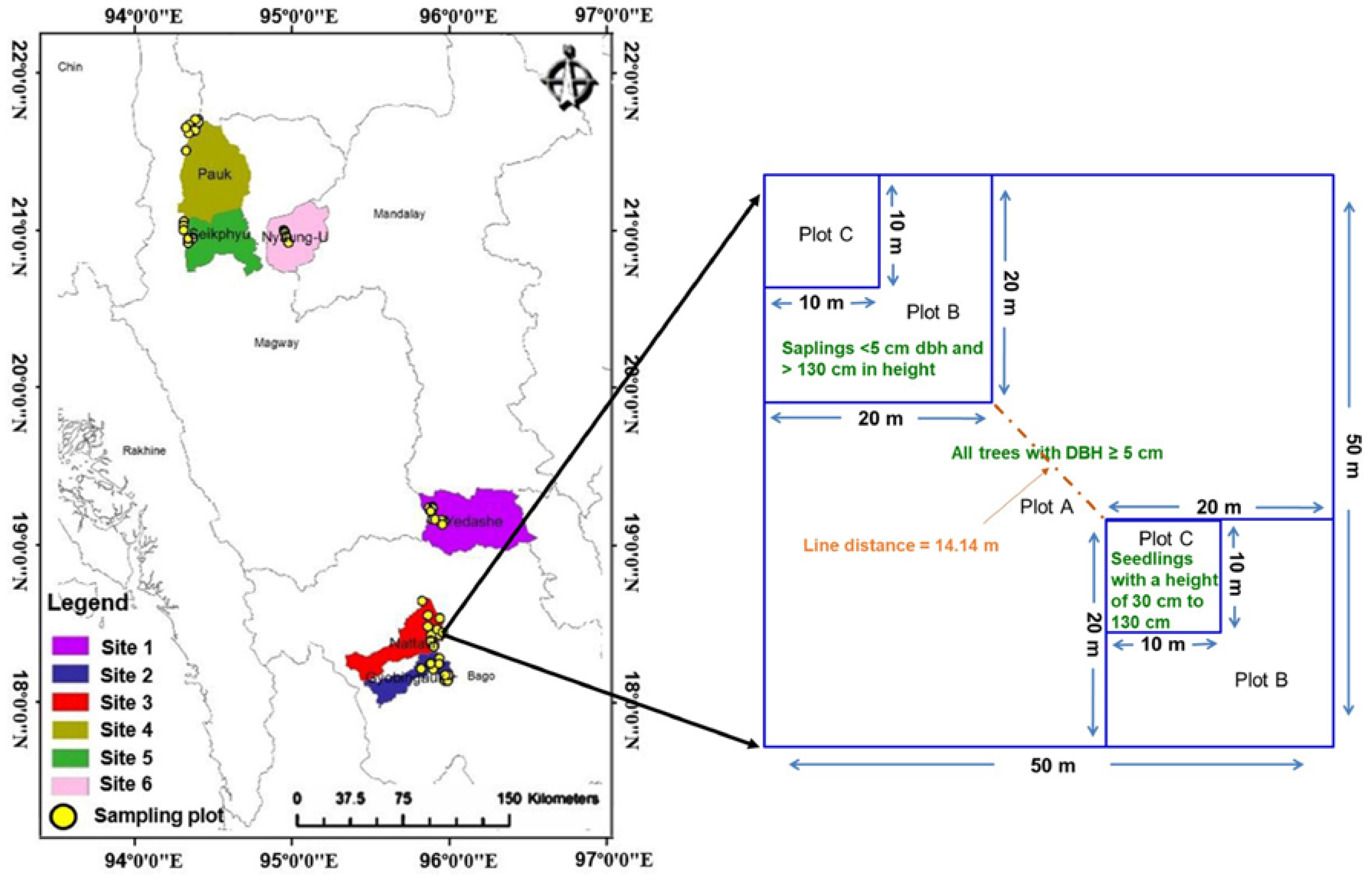 Forests 09 00143 g001