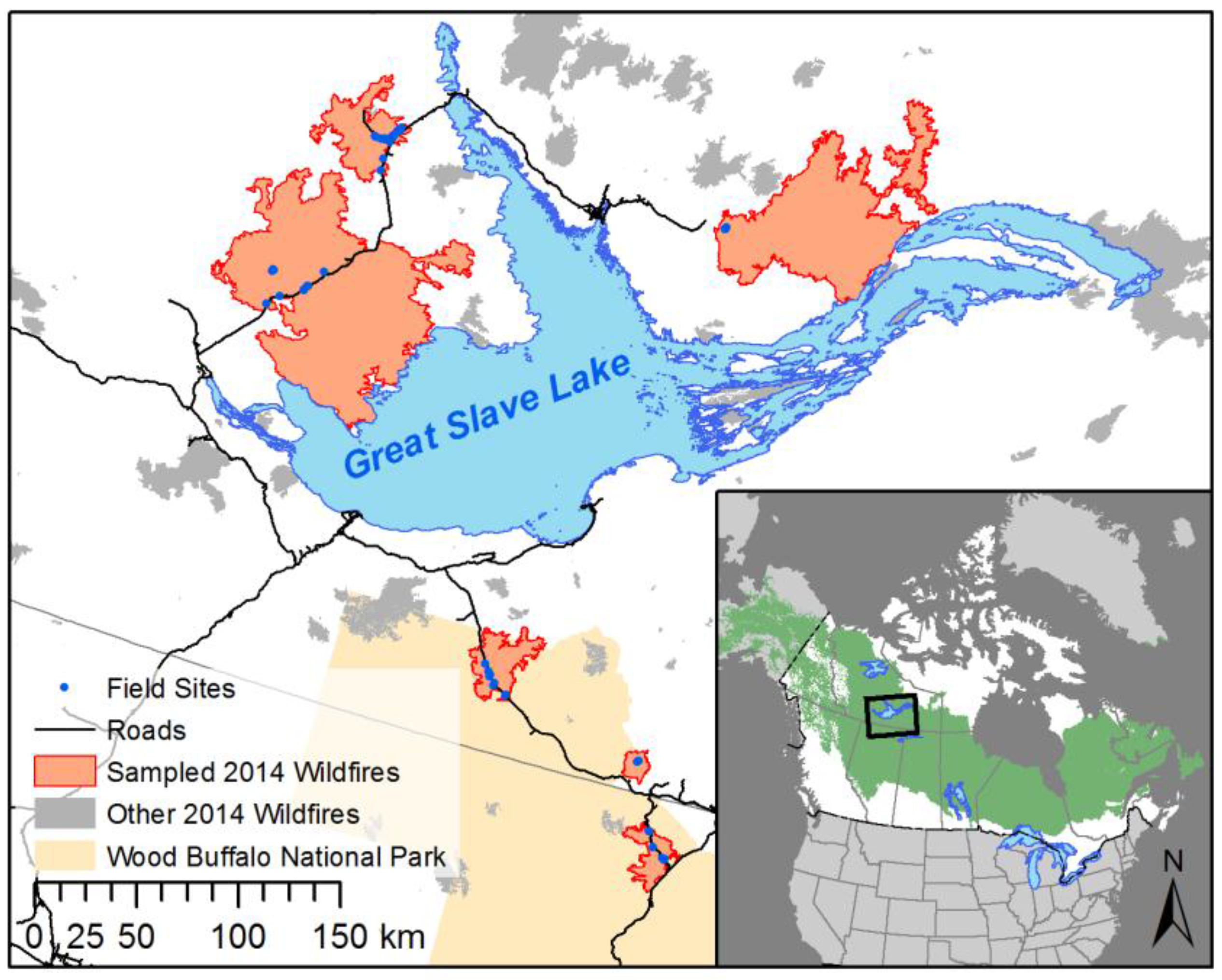 Forests 09 00151 g001