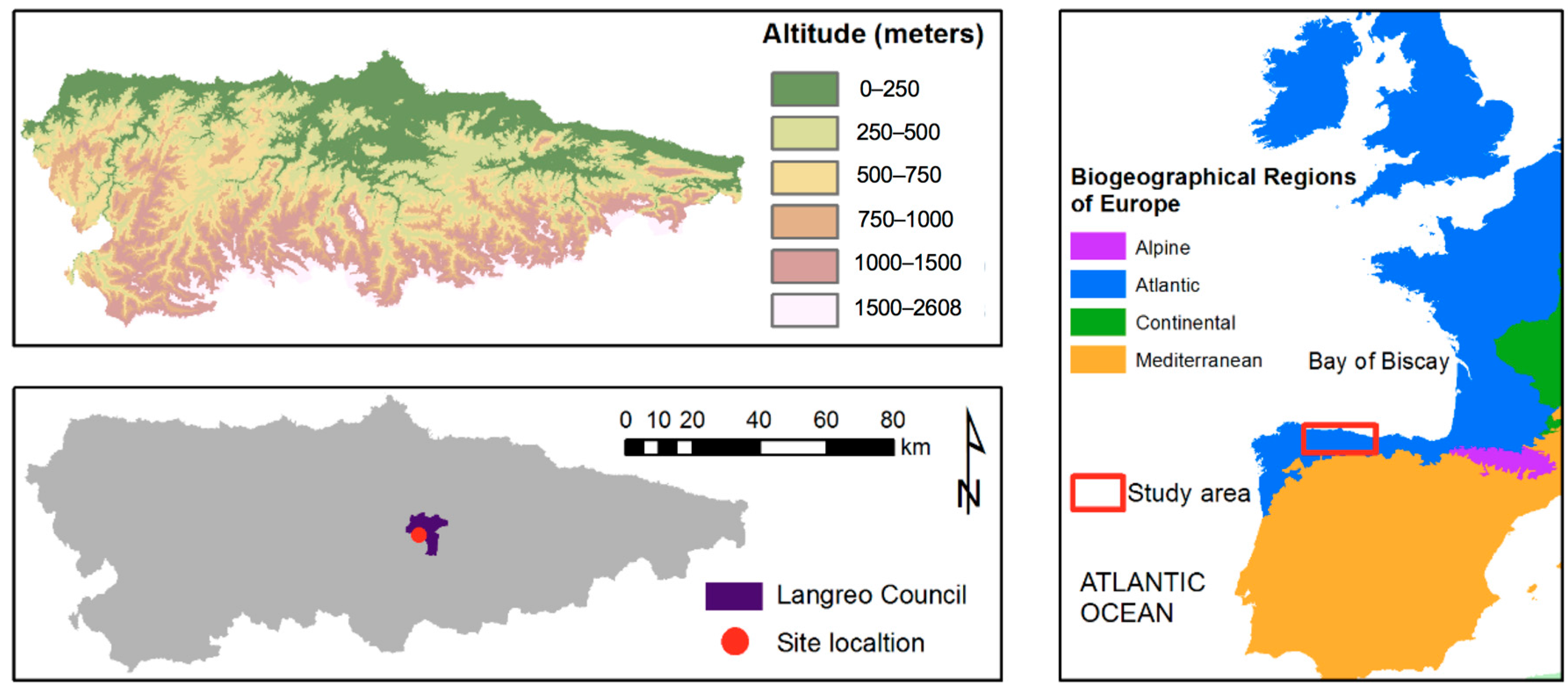 Forests 09 00154 g001