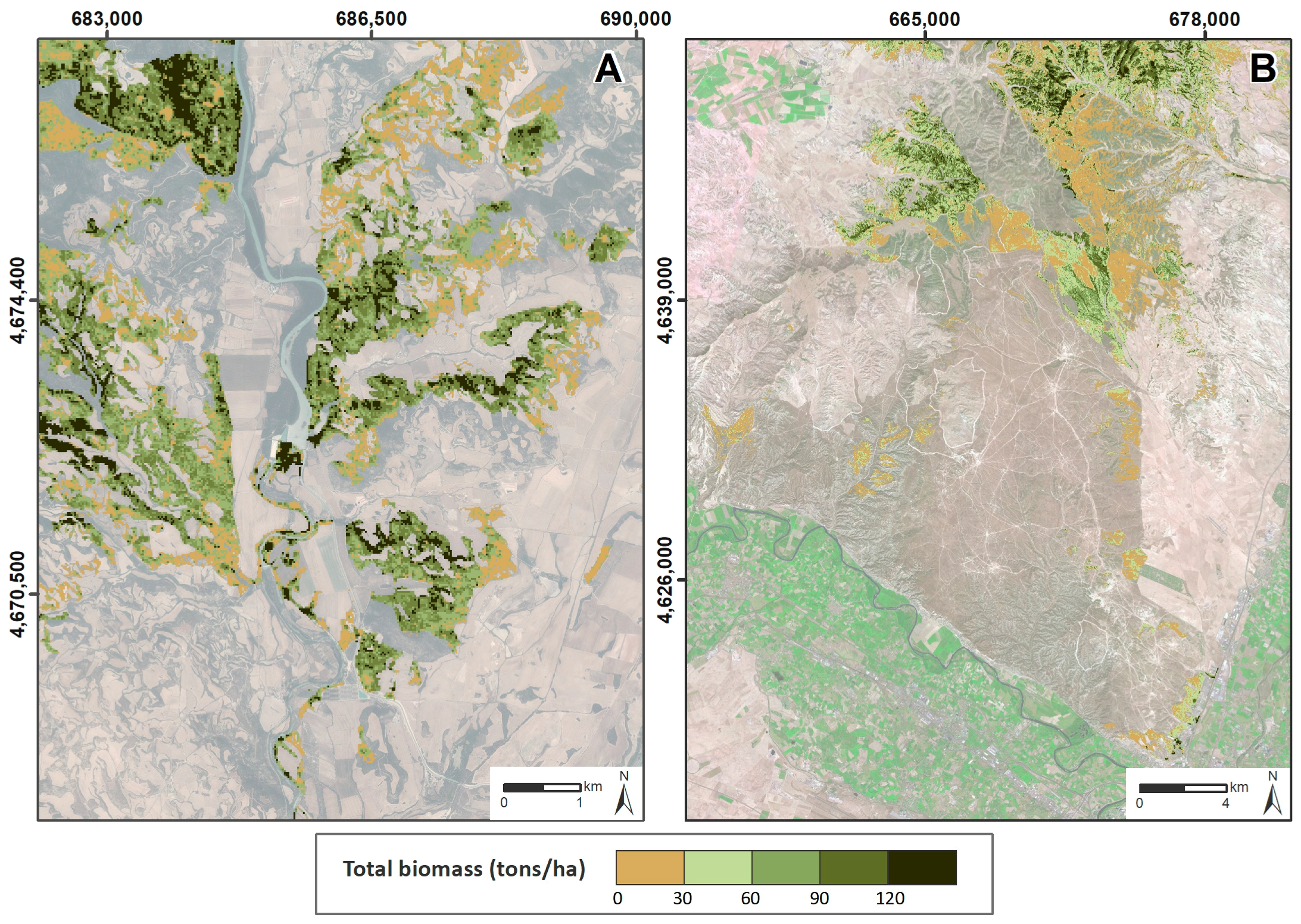 Forests 09 00158 g004