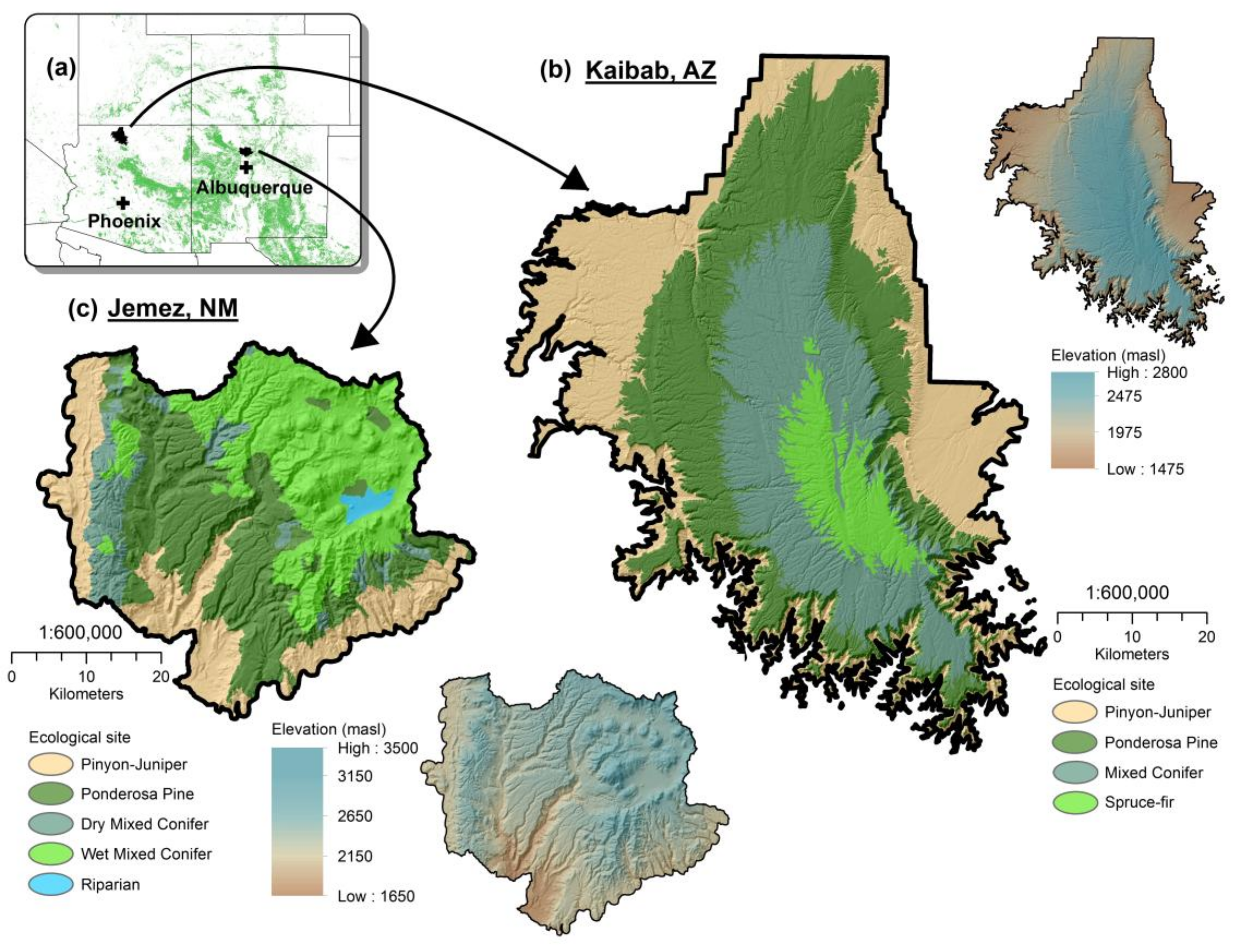 Forests 09 00192 g001