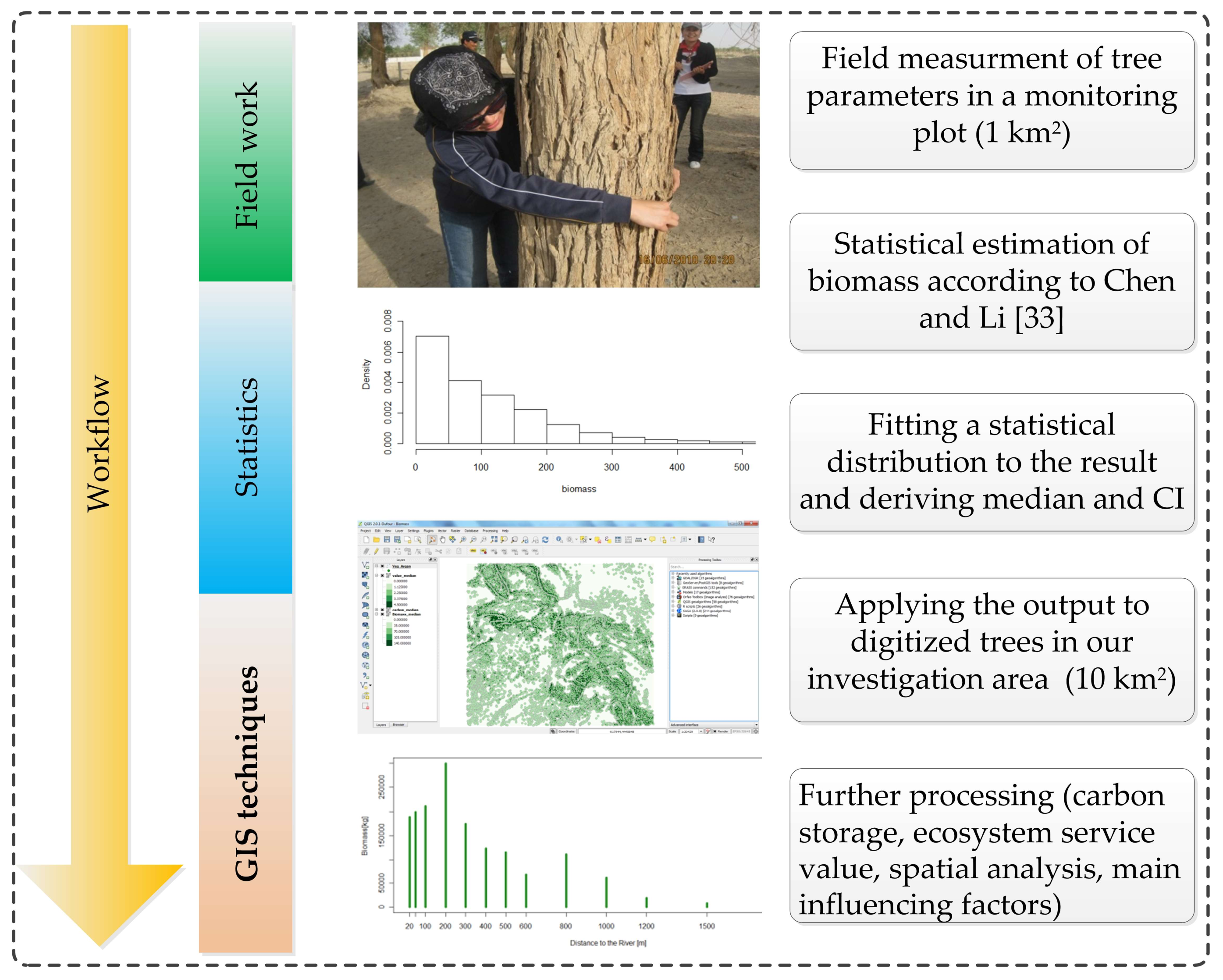 Forests 09 00196 g003