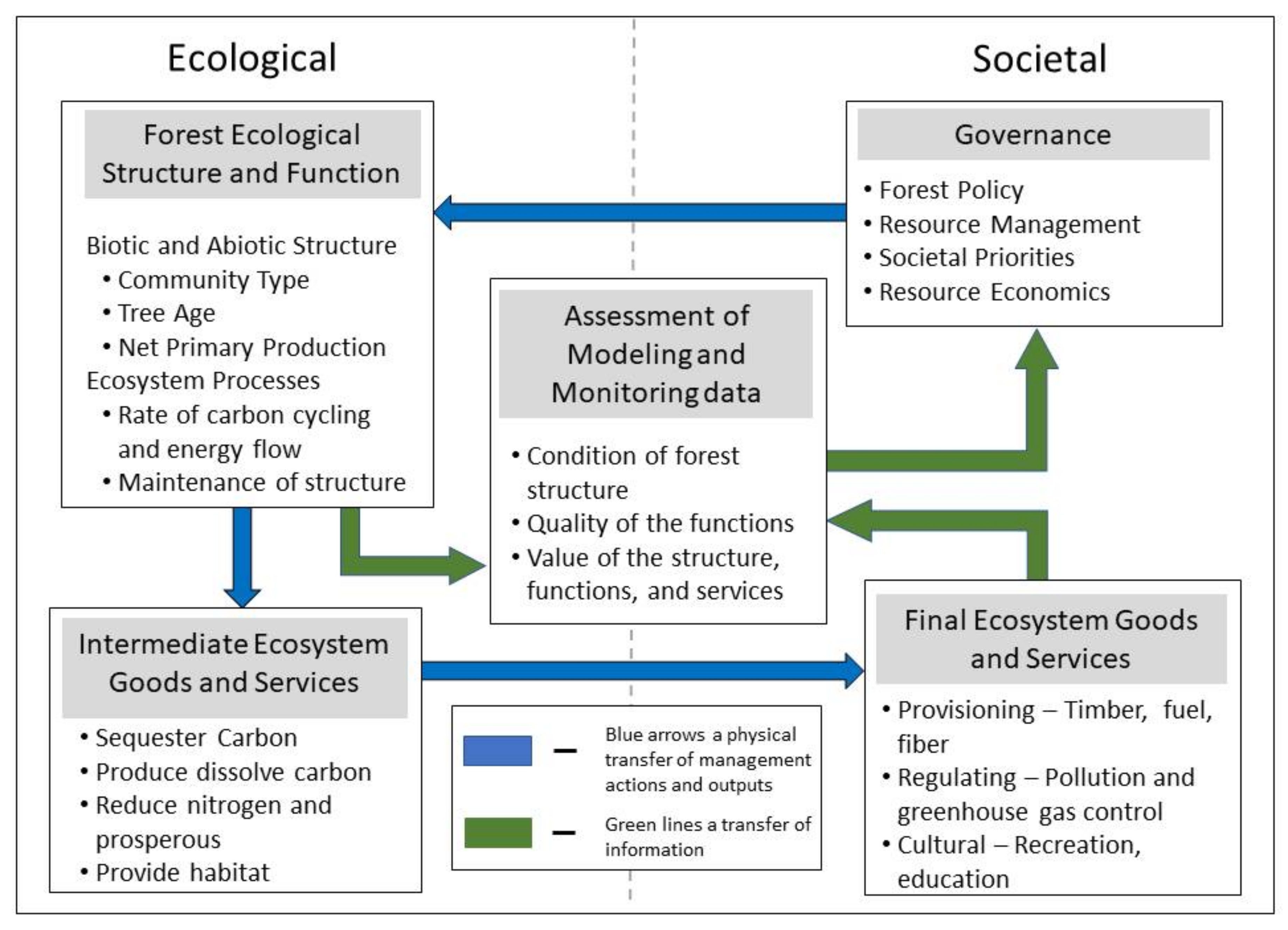 Forests 09 00200 g001