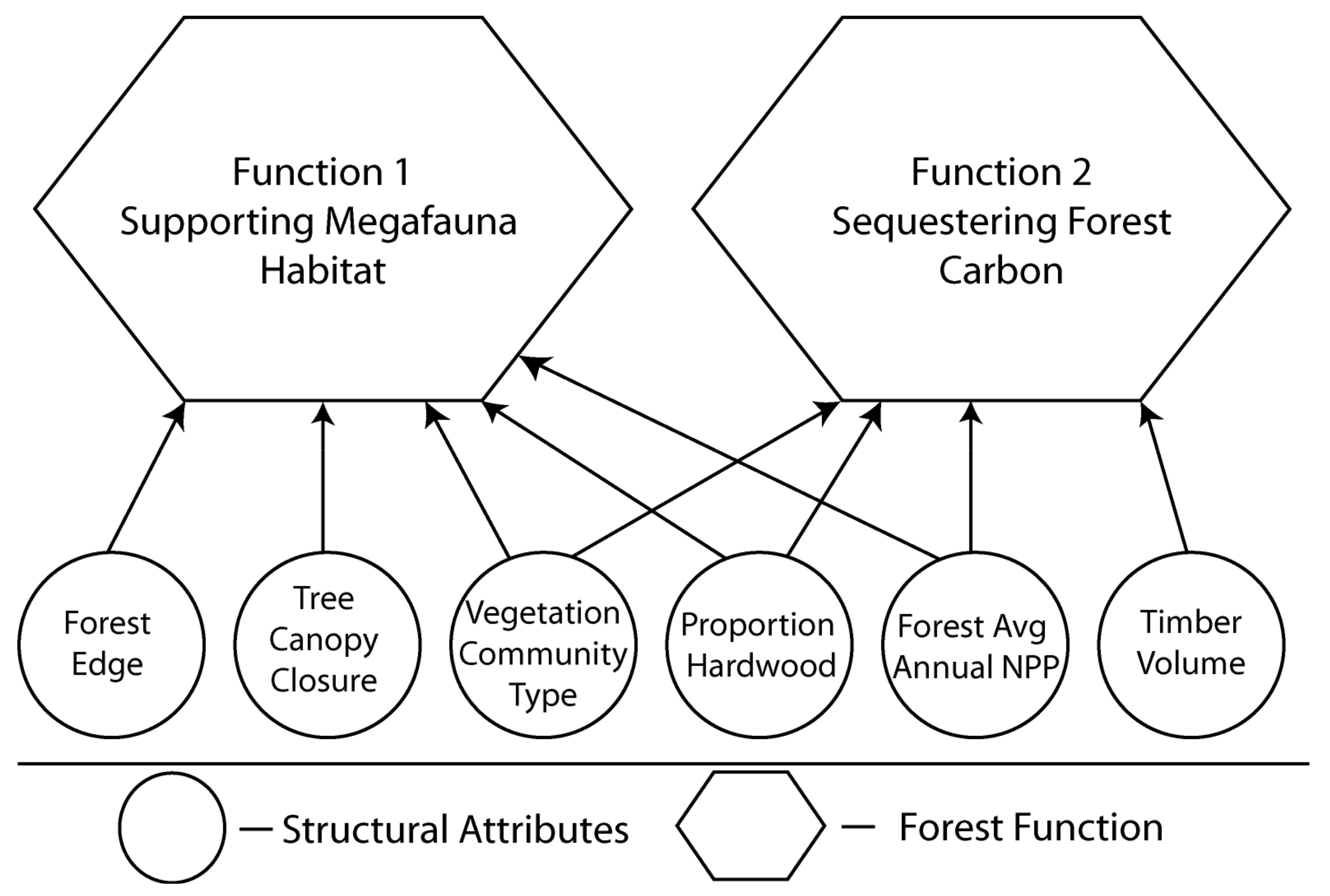 Forests 09 00200 g002