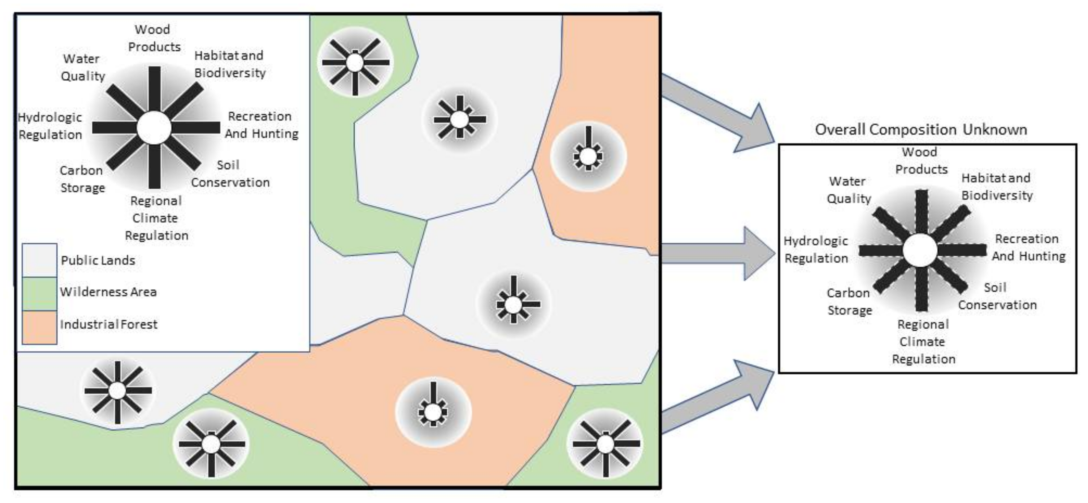 Forests 09 00200 g005