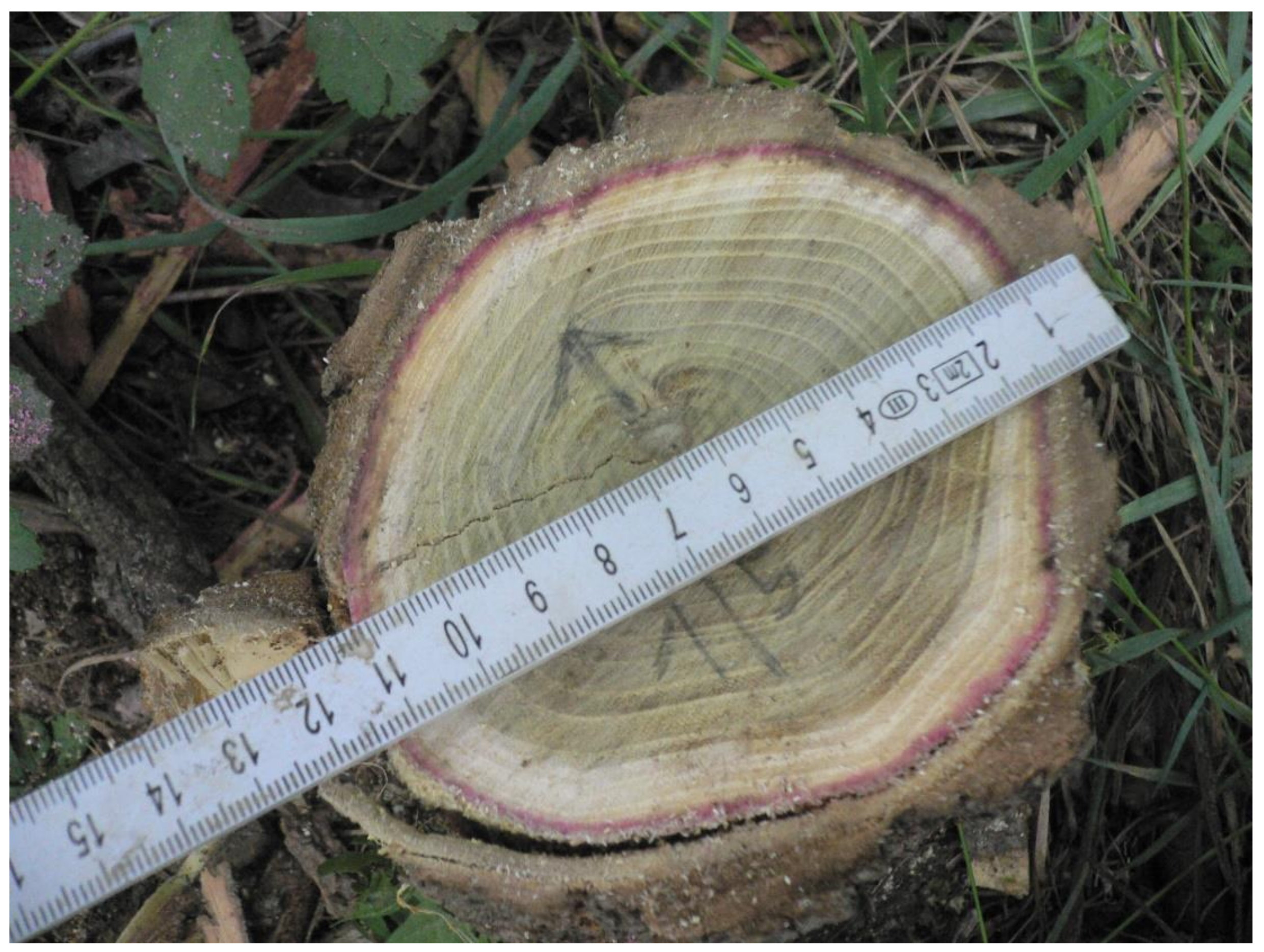 Forests 09 00201 g004