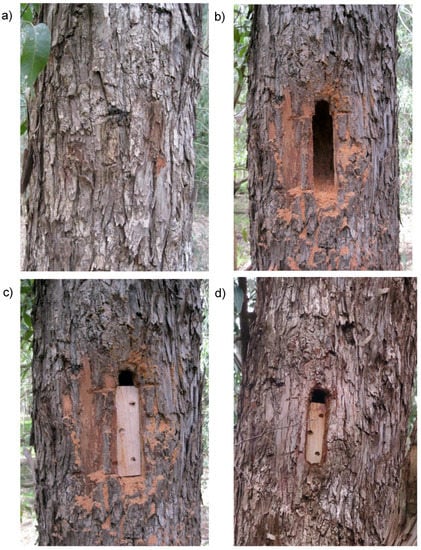 Forests 09 00235 g0a1