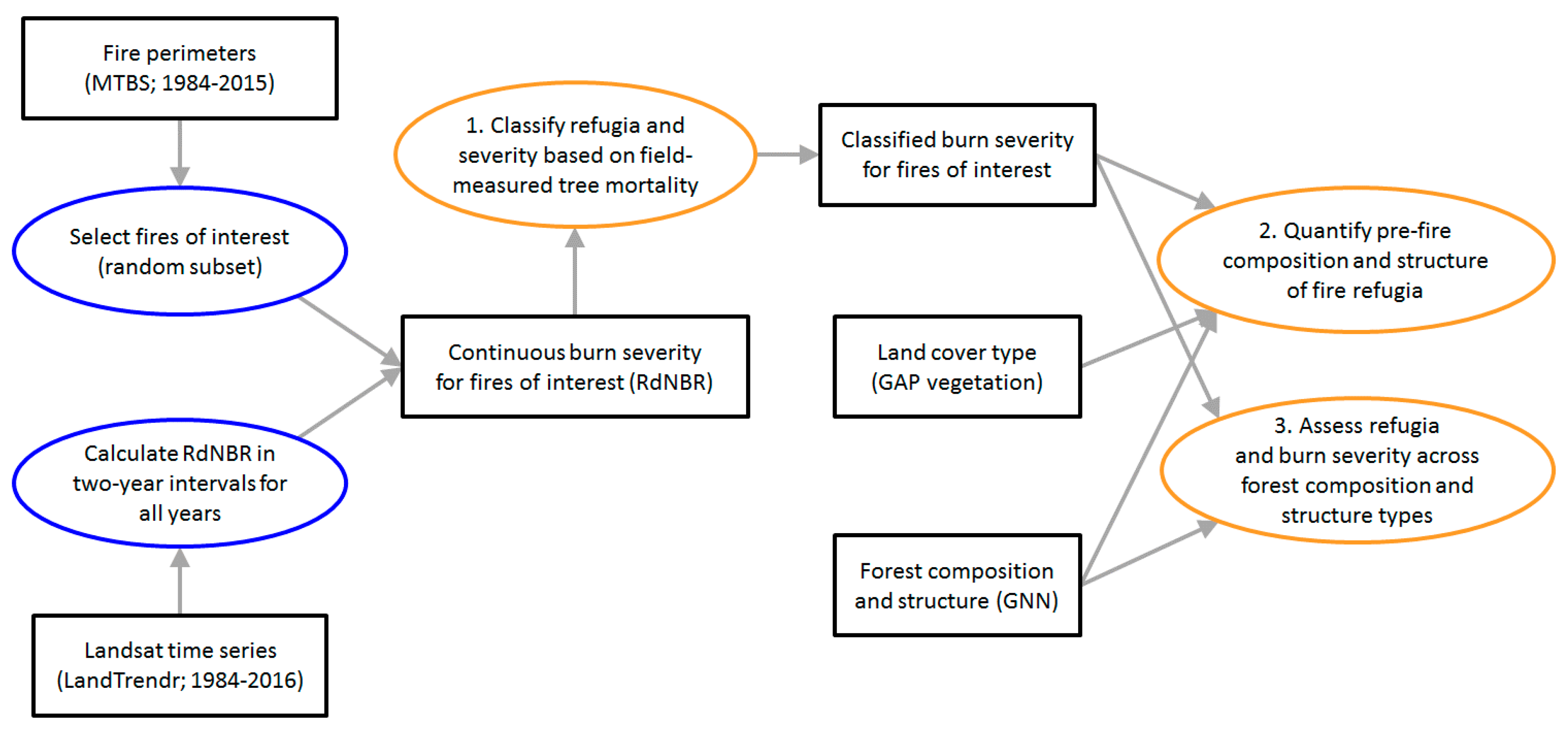 Forests 09 00243 g001